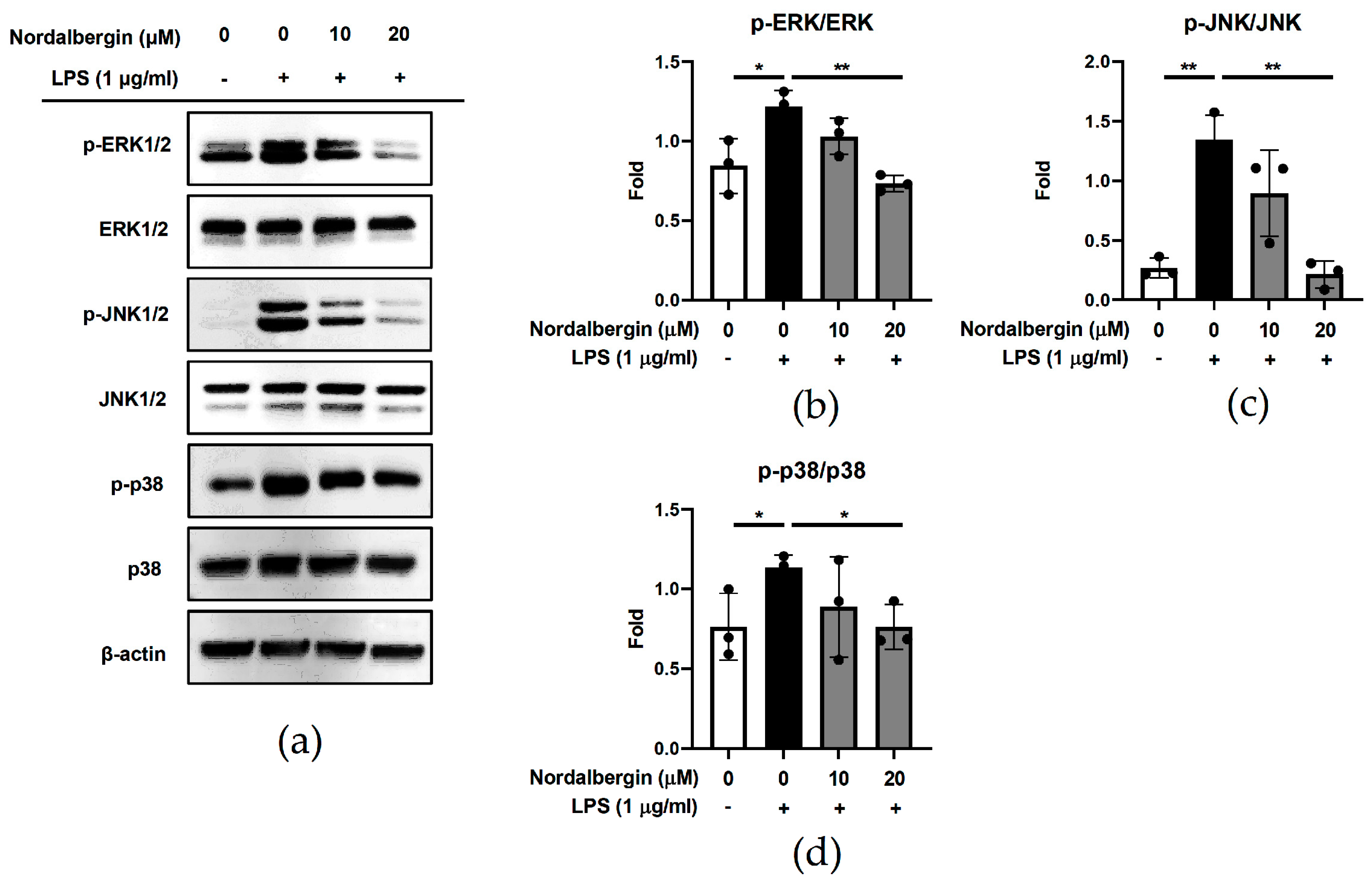 Ijms 24 07300 g003 Ijms 24 07300 g003