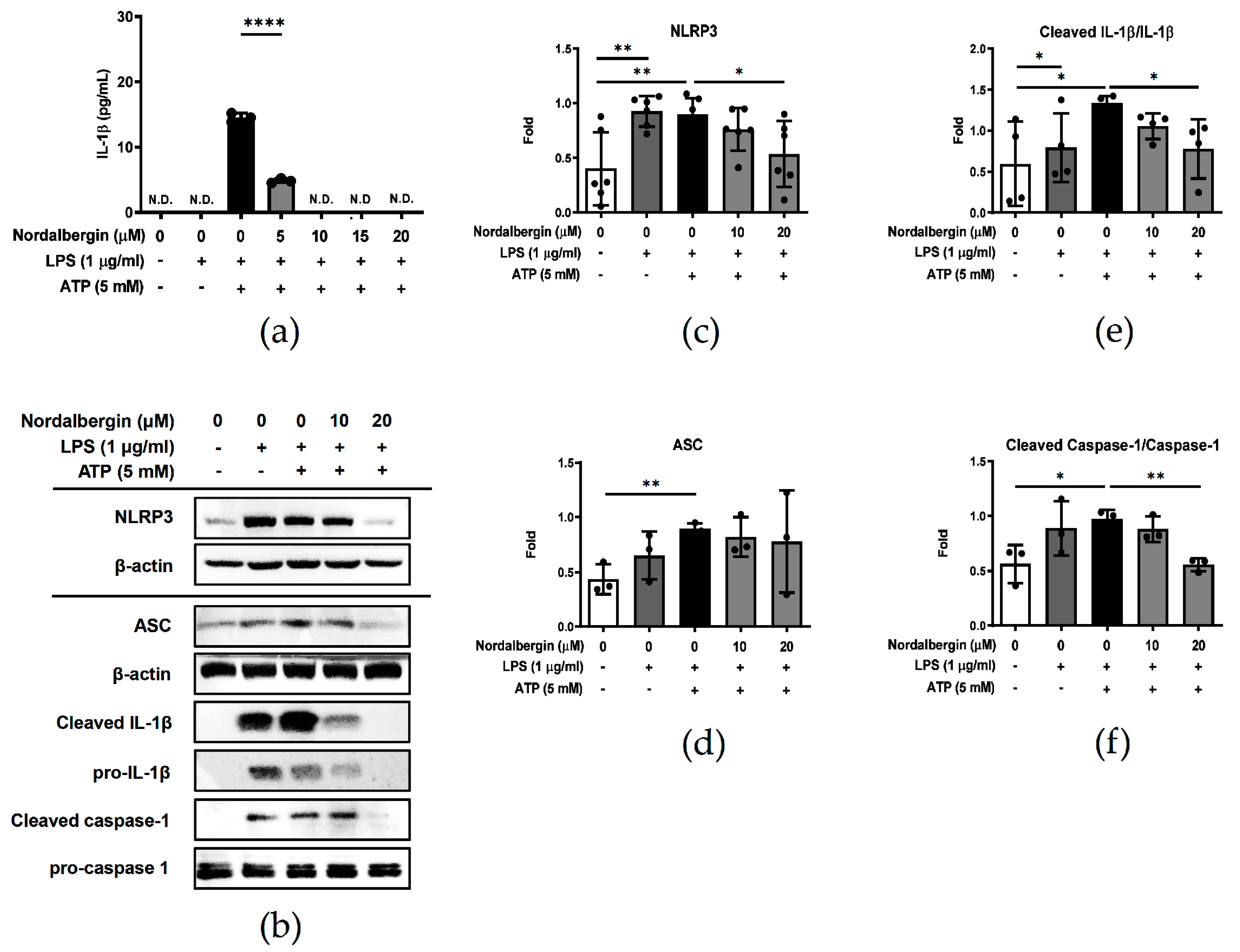 Ijms 24 07300 g004 Ijms 24 07300 g004