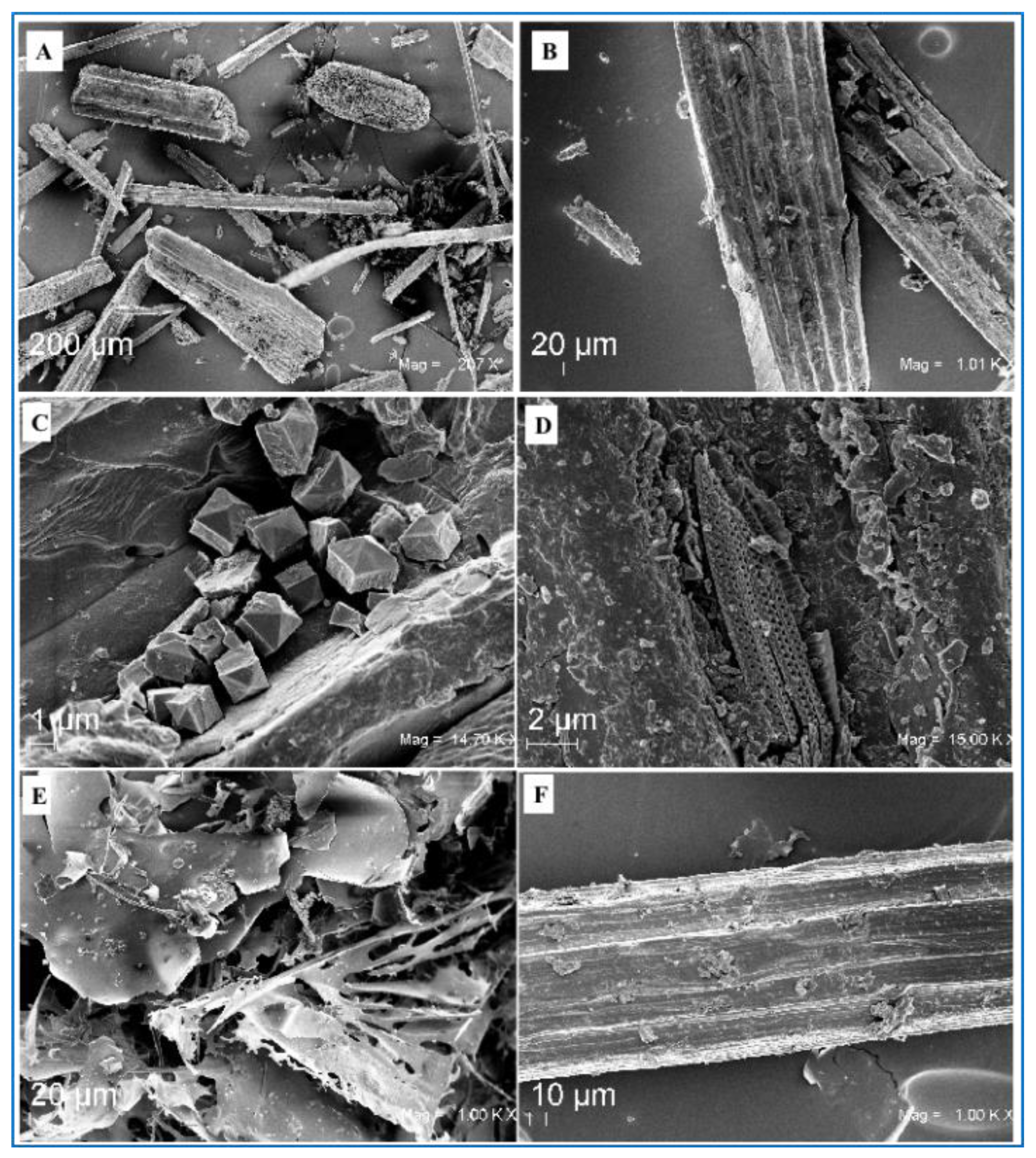 Ijms 24 07301 g003 Ijms 24 07301 g003