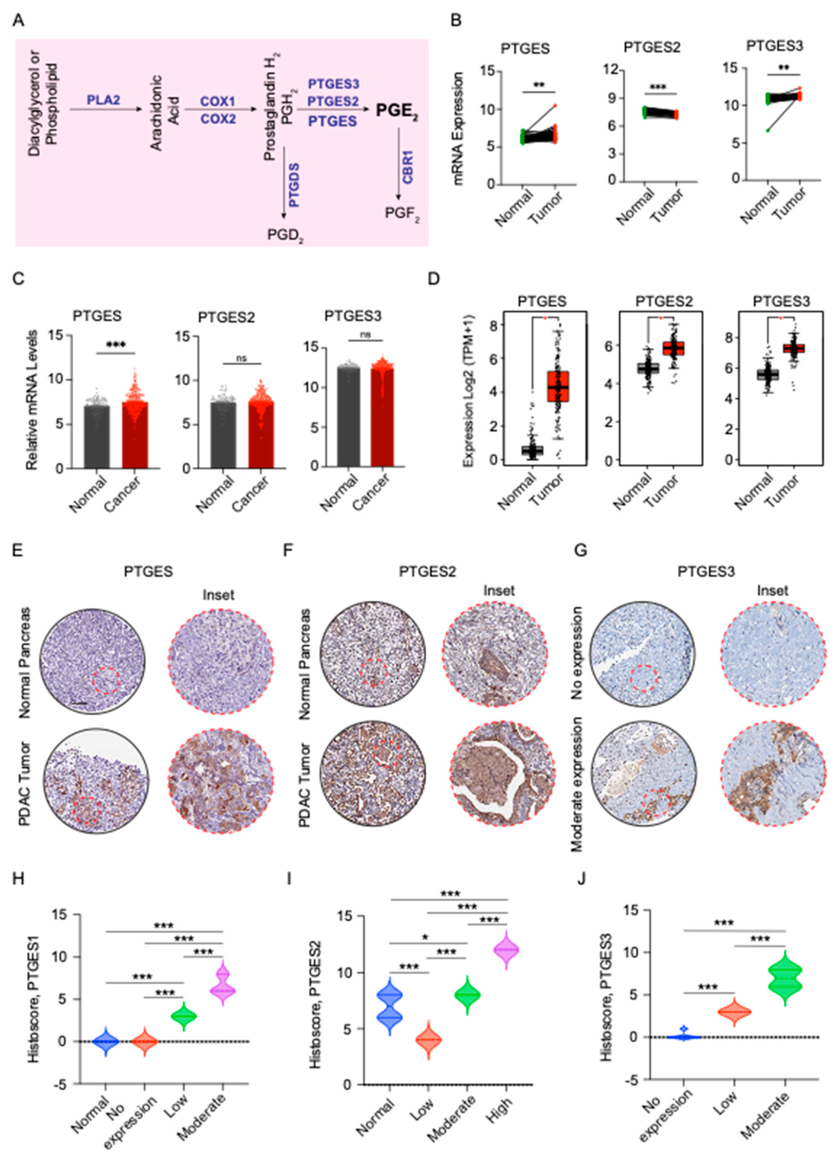 Ijms 24 07304 g001 Ijms 24 07304 g001