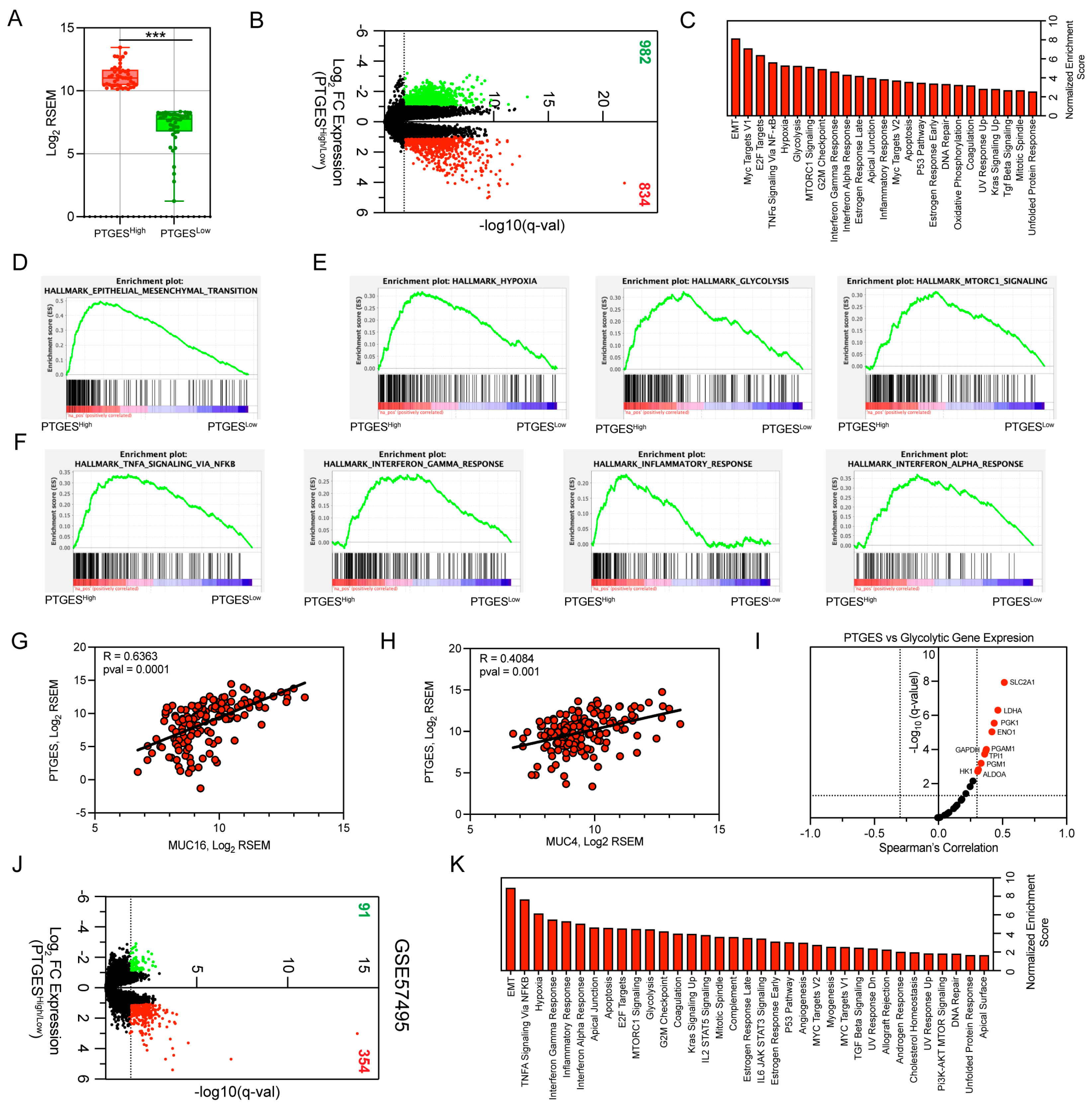Ijms 24 07304 g003 Ijms 24 07304 g003