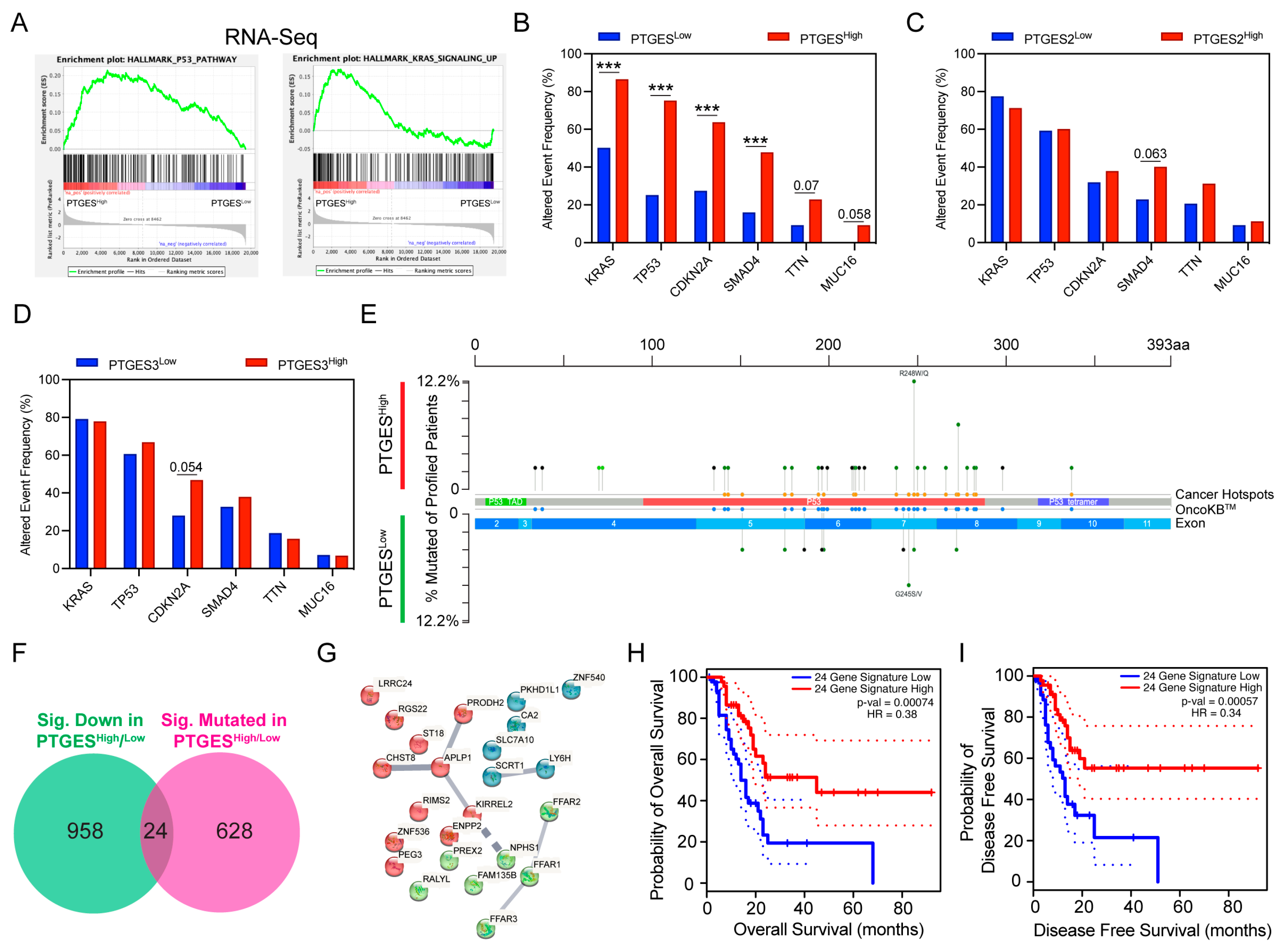 Ijms 24 07304 g004 Ijms 24 07304 g004