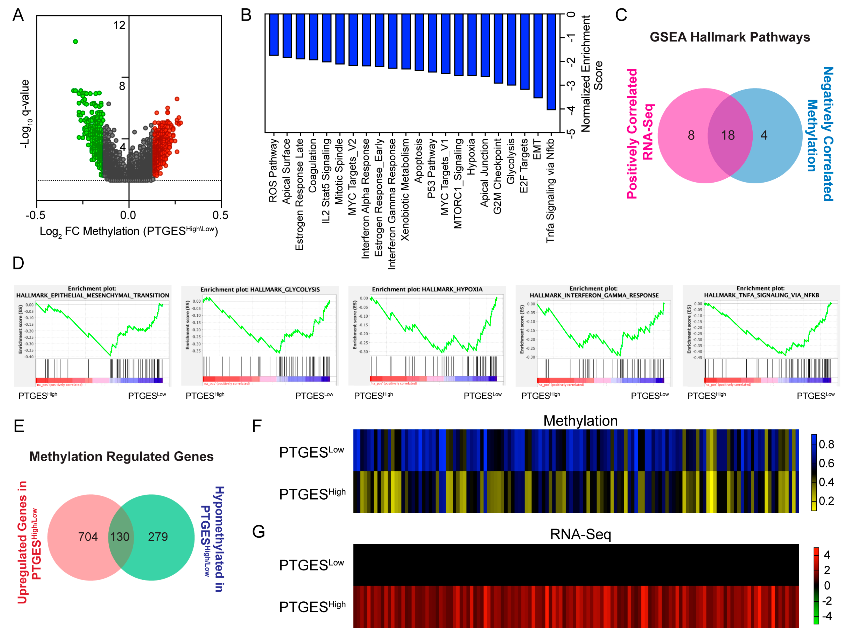 Ijms 24 07304 g005 Ijms 24 07304 g005