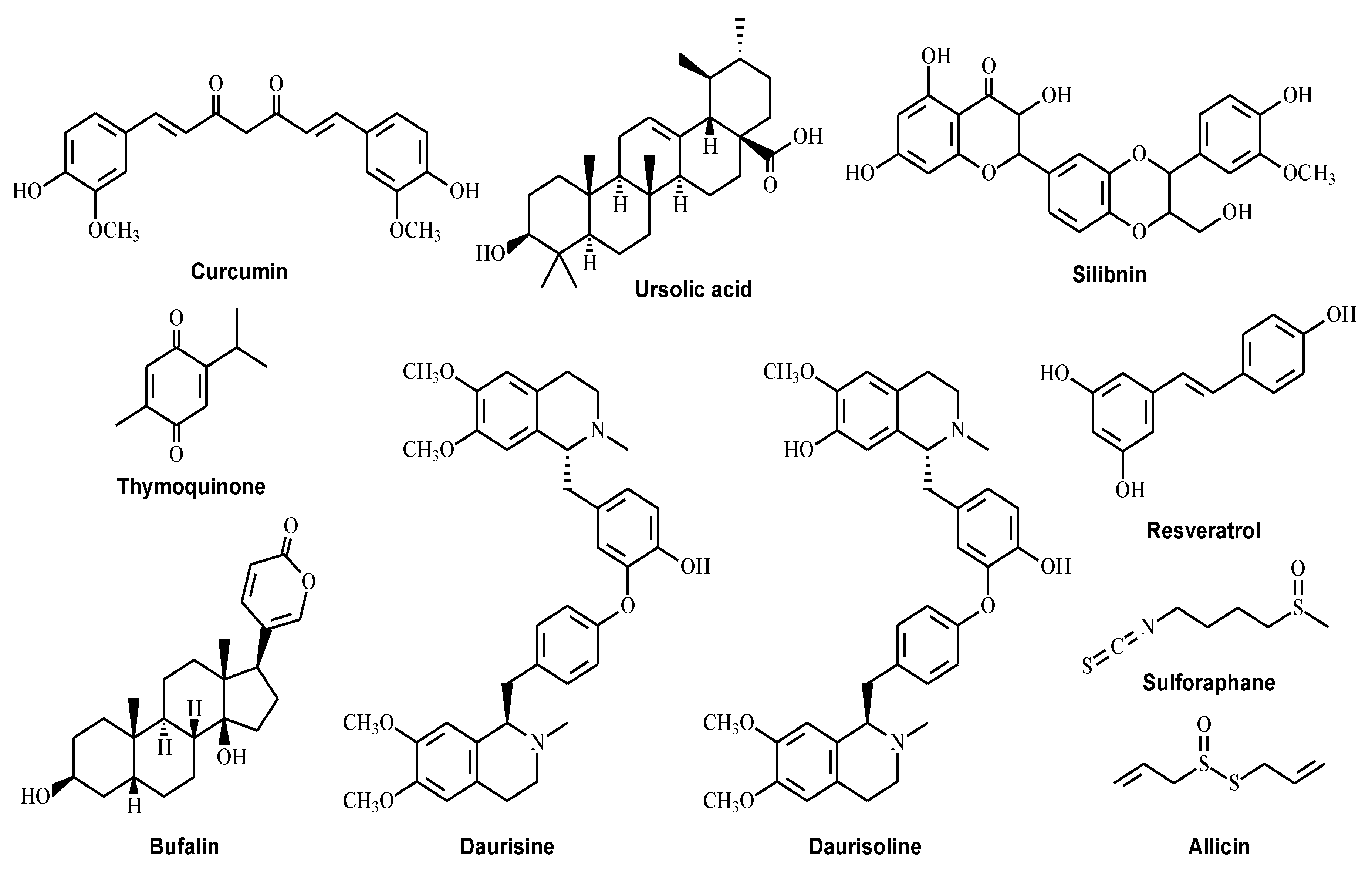 Ijms 24 07310 g002 Ijms 24 07310 g002