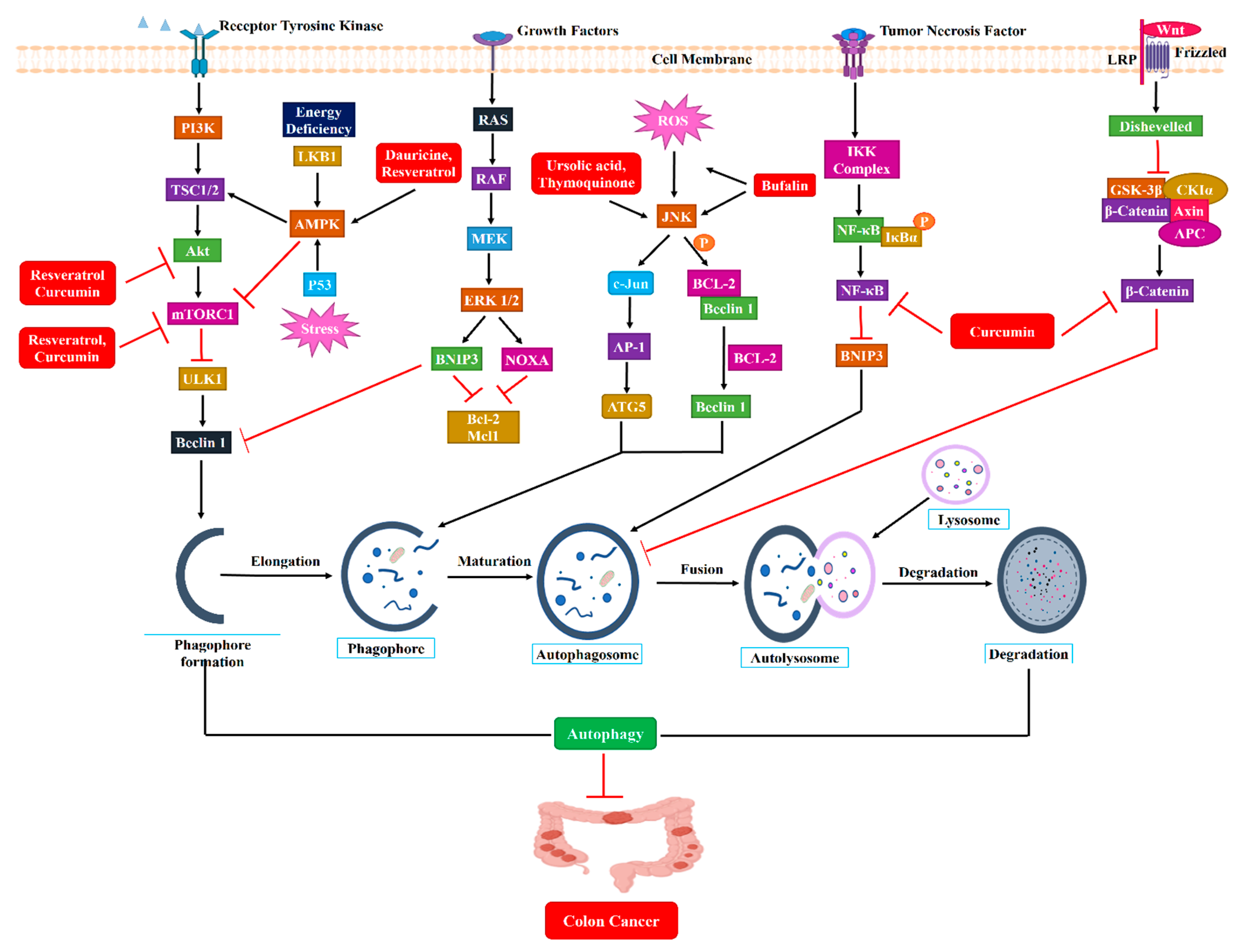 Ijms 24 07310 g003 Ijms 24 07310 g003