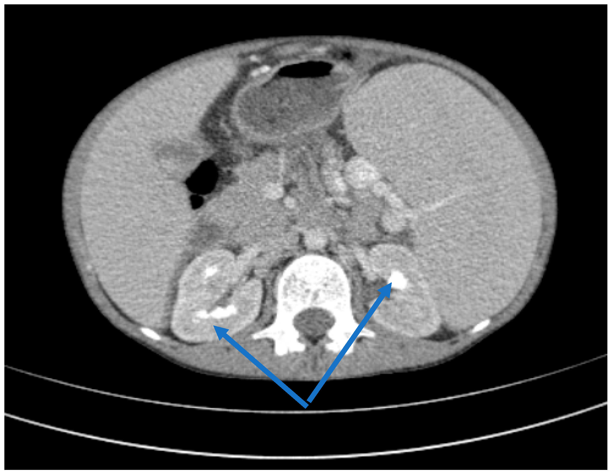 Ijms 24 07327 g004 Ijms 24 07327 g004