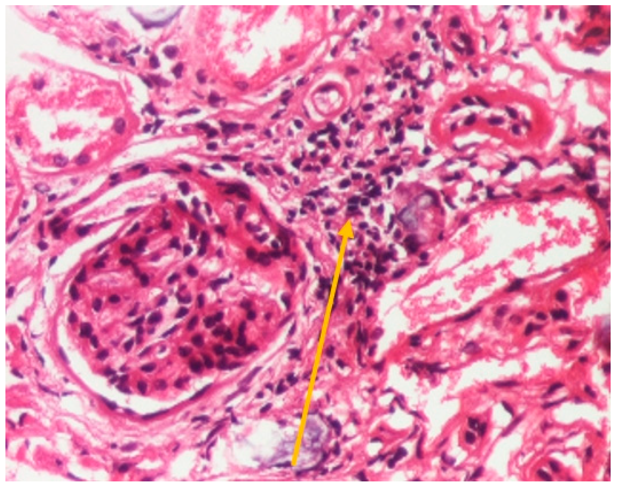 Ijms 24 07327 g007 Ijms 24 07327 g007