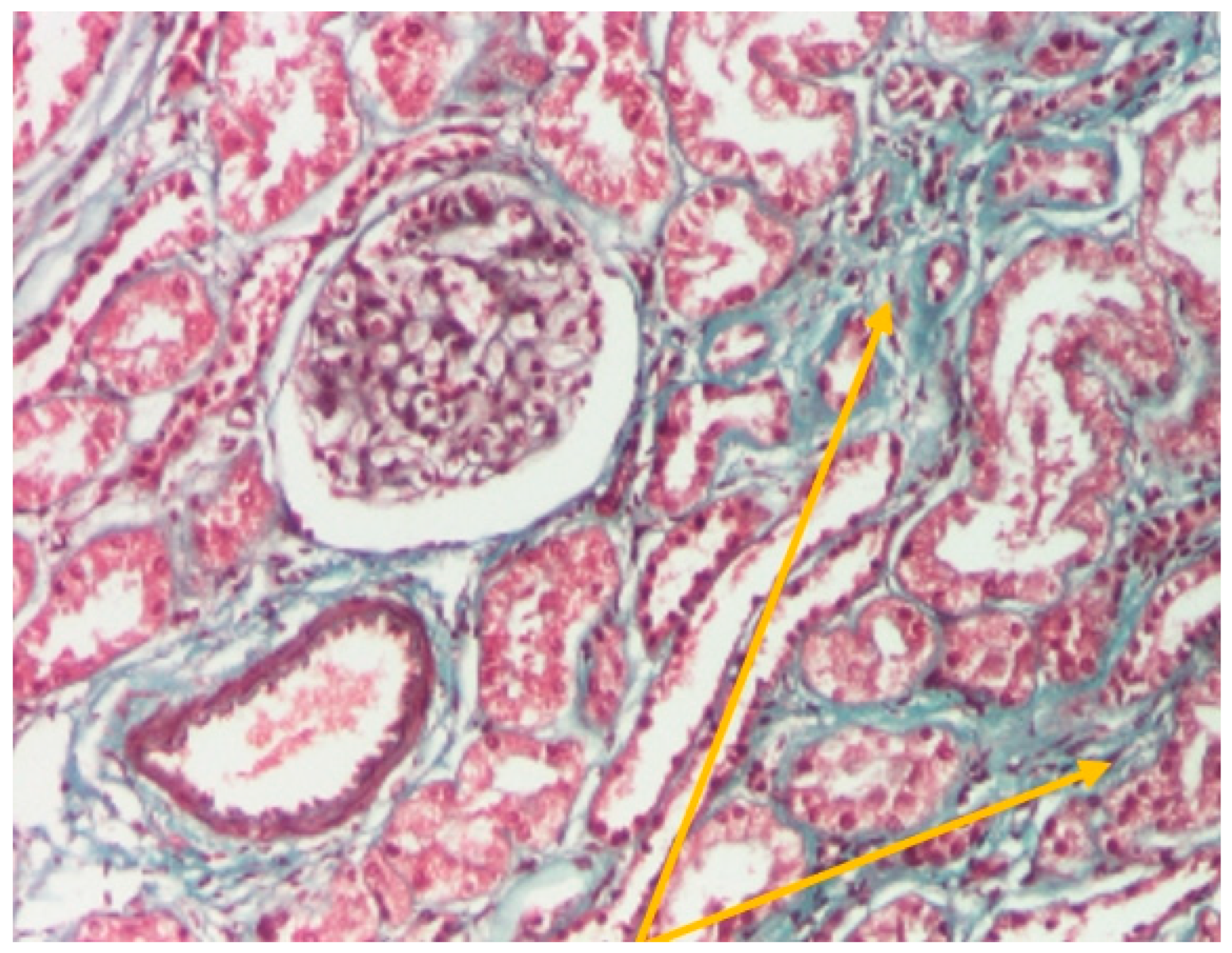 Ijms 24 07327 g009 Ijms 24 07327 g009