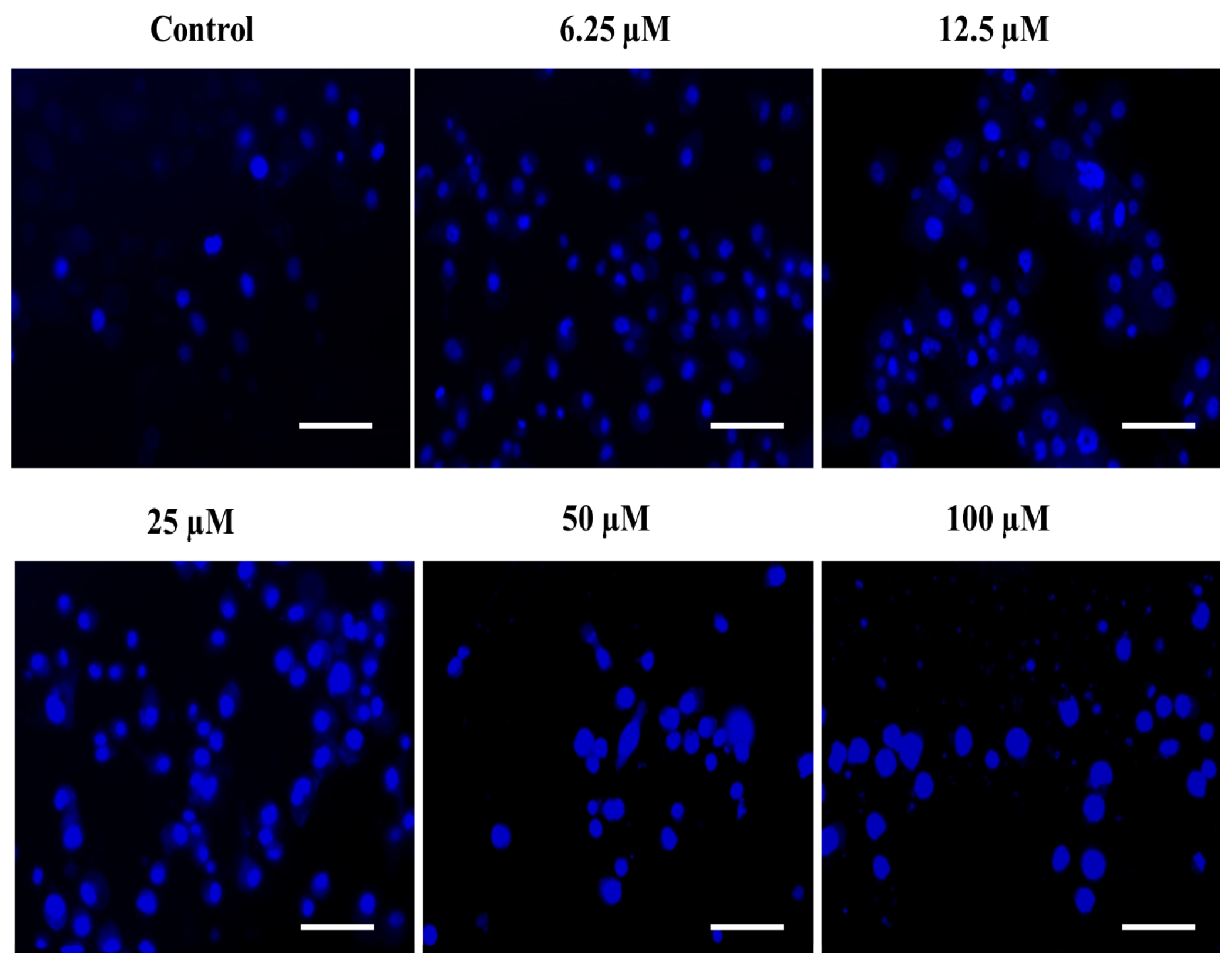 Ijms 24 07336 g009 Ijms 24 07336 g009