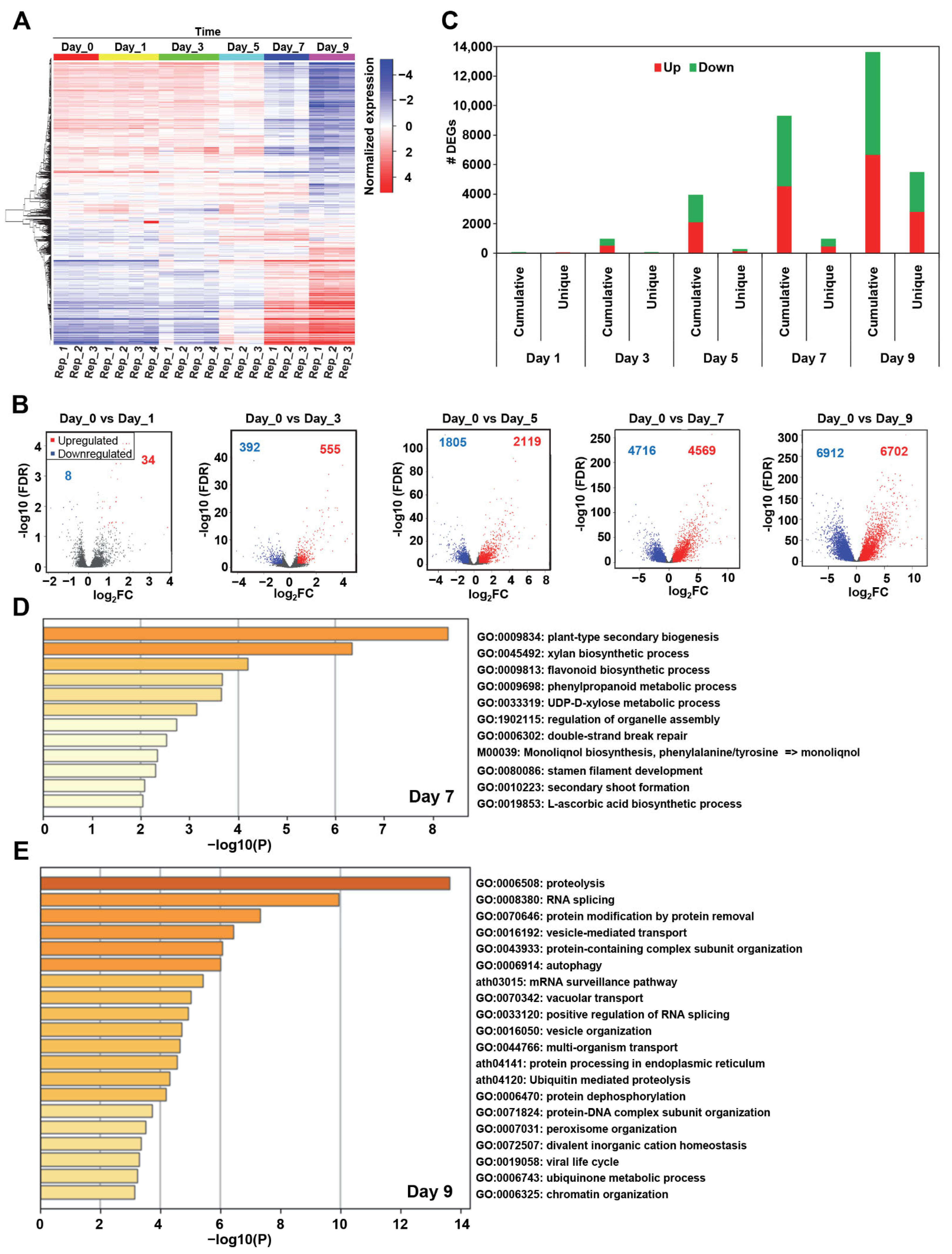 Ijms 24 07349 g001 Ijms 24 07349 g001