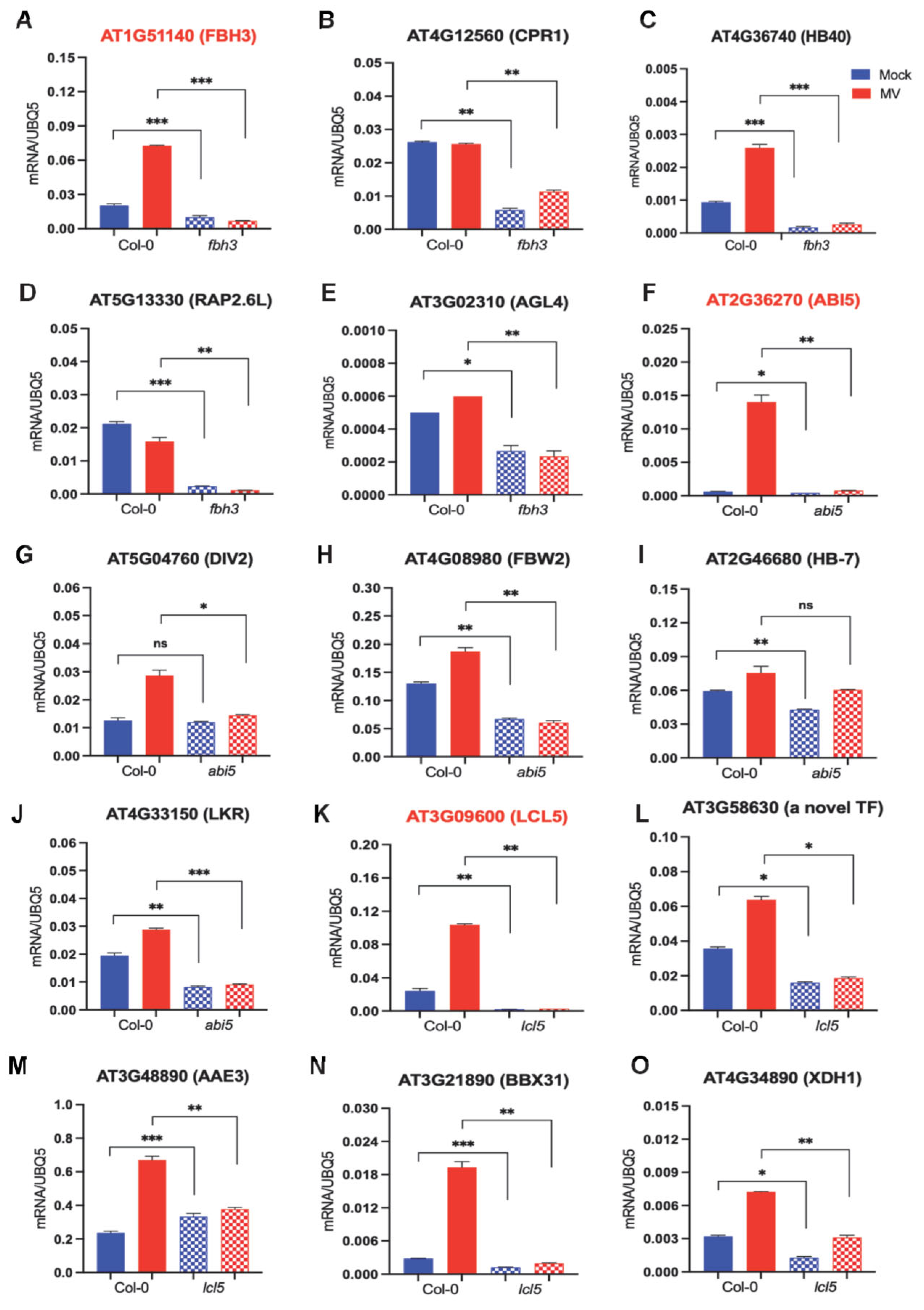 Ijms 24 07349 g006 Ijms 24 07349 g006