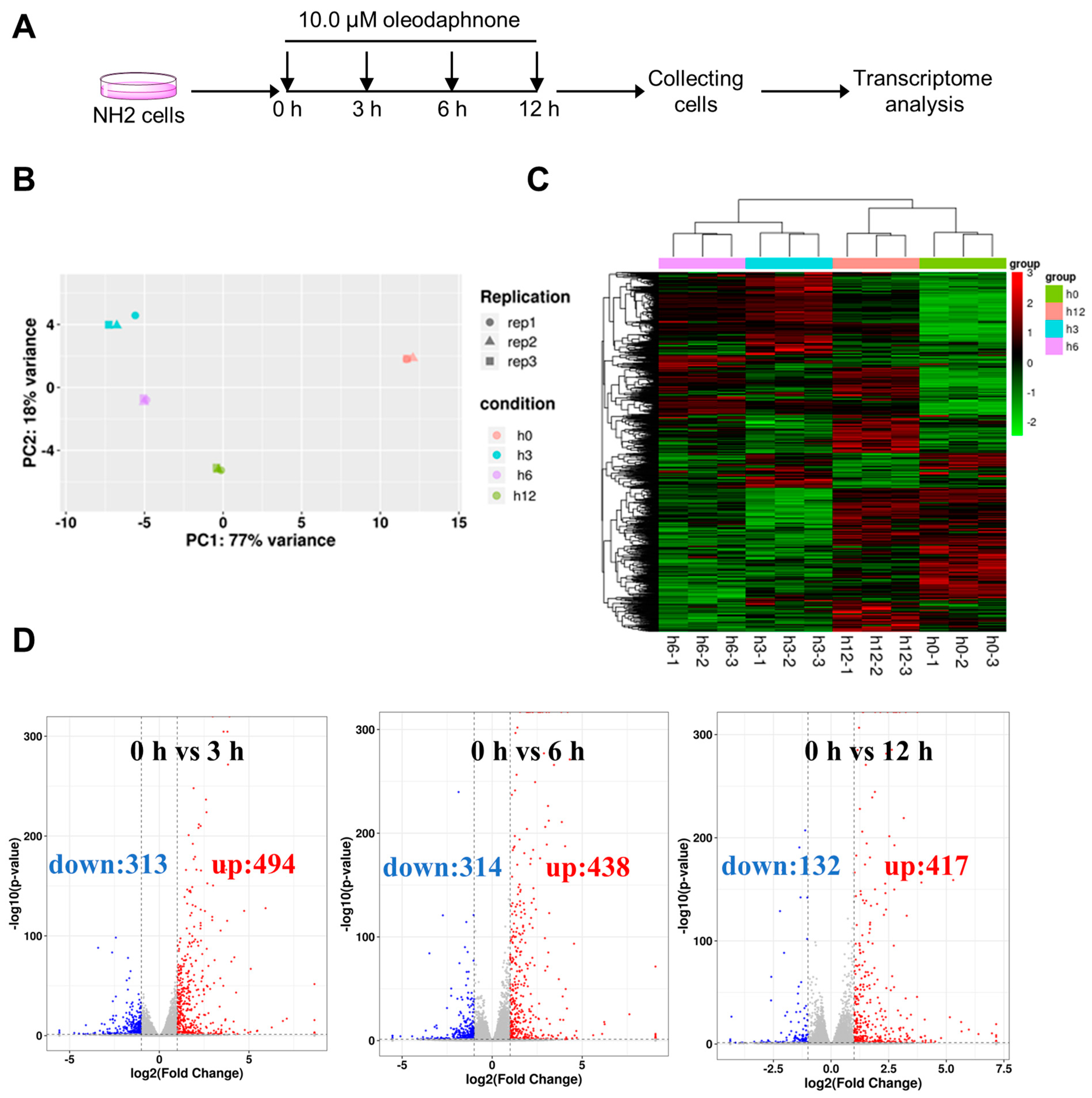 Ijms 24 07357 g003 Ijms 24 07357 g003
