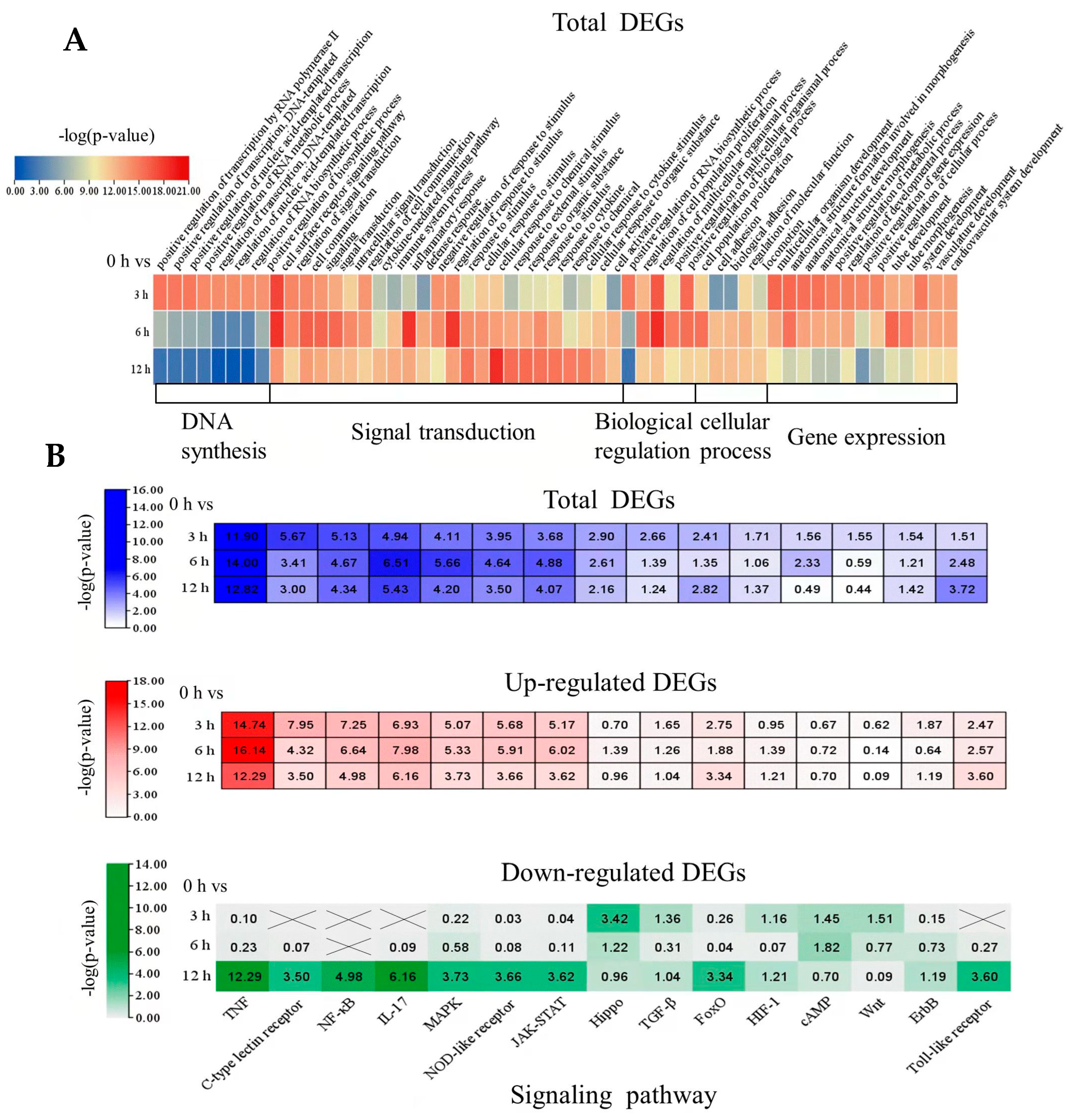 Ijms 24 07357 g004 Ijms 24 07357 g004