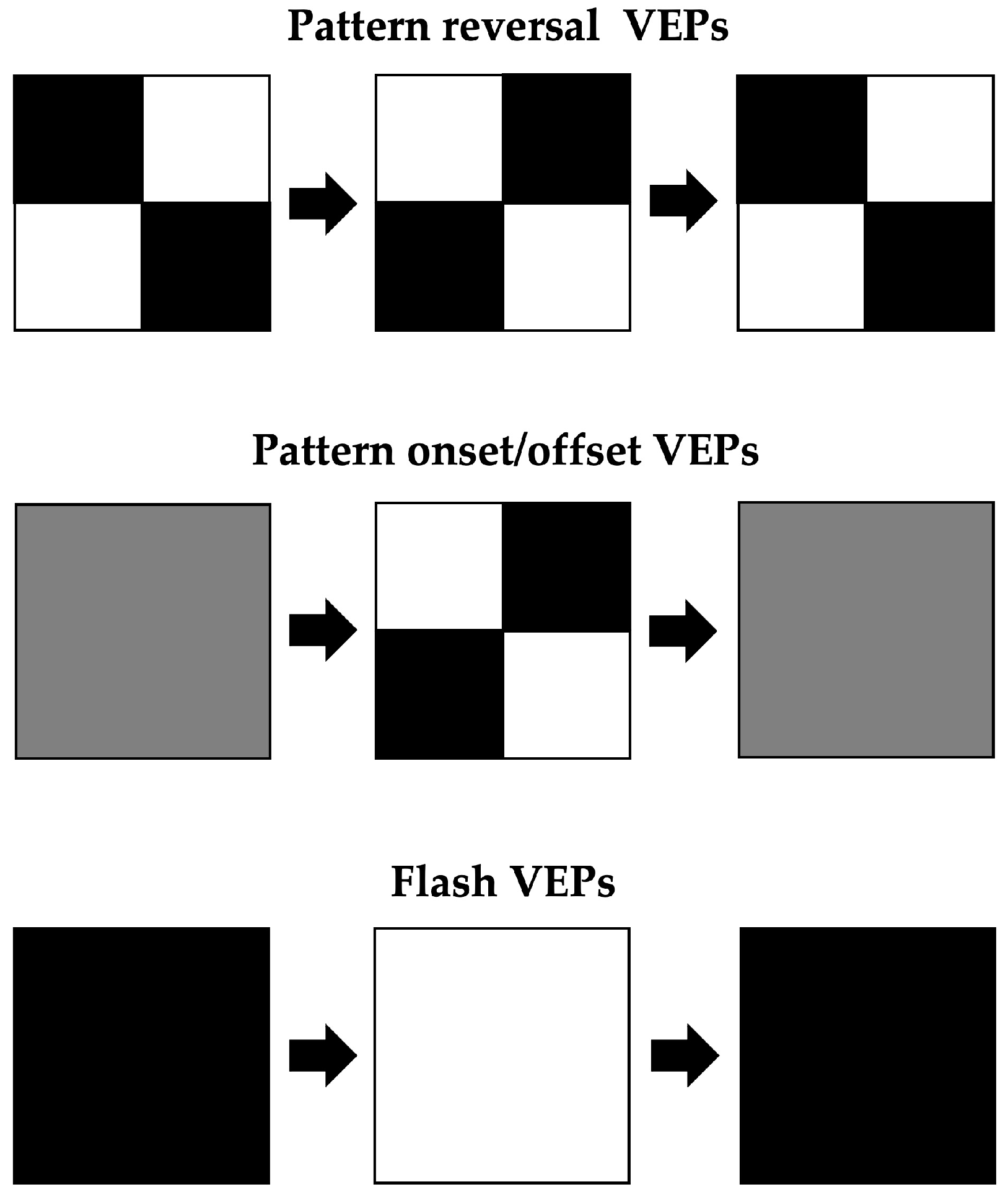 IJMS Free FullText Visual Evoked Potentials for the Detection of