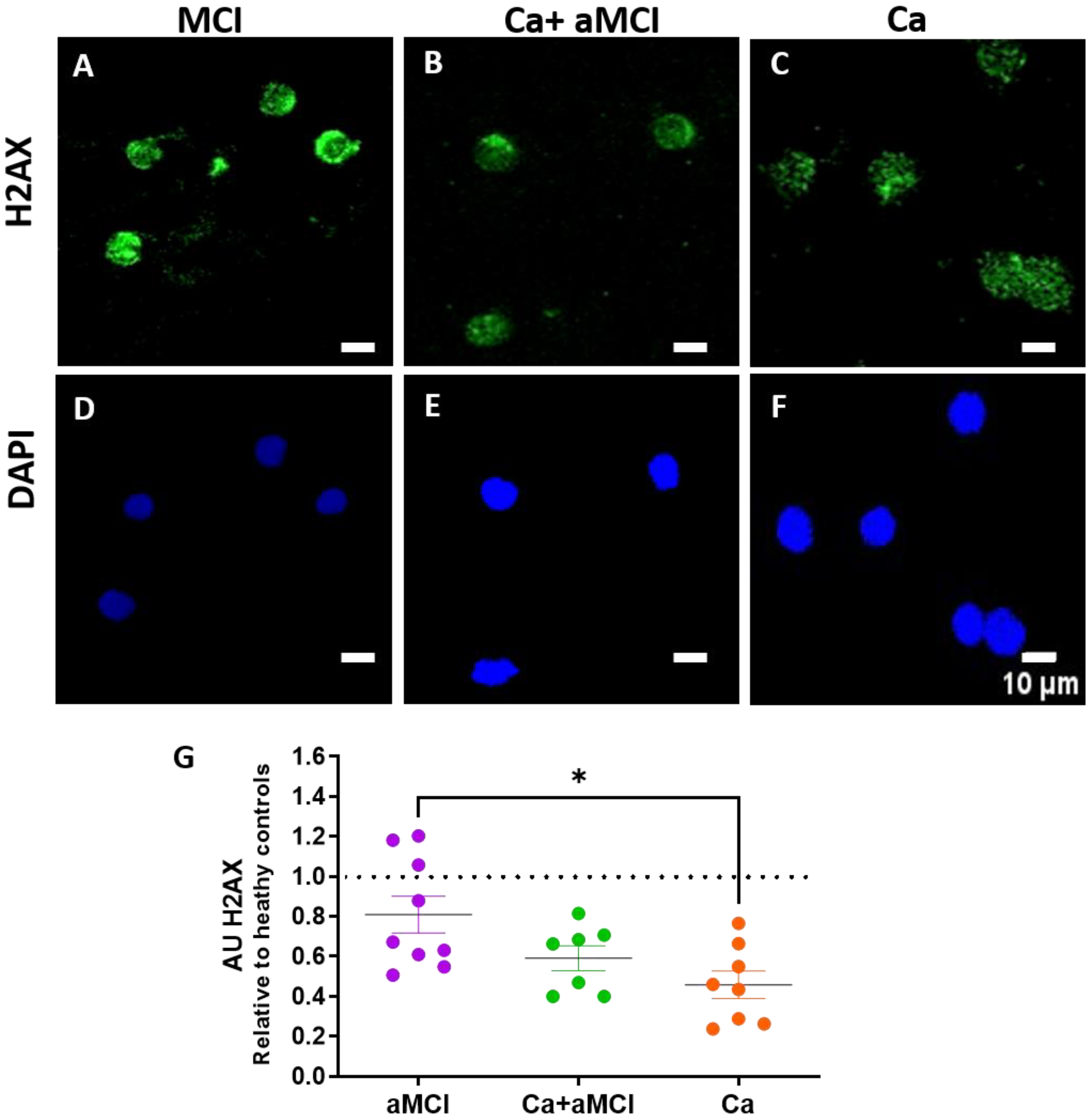 Ijms 24 07364 g004 Ijms 24 07364 g004