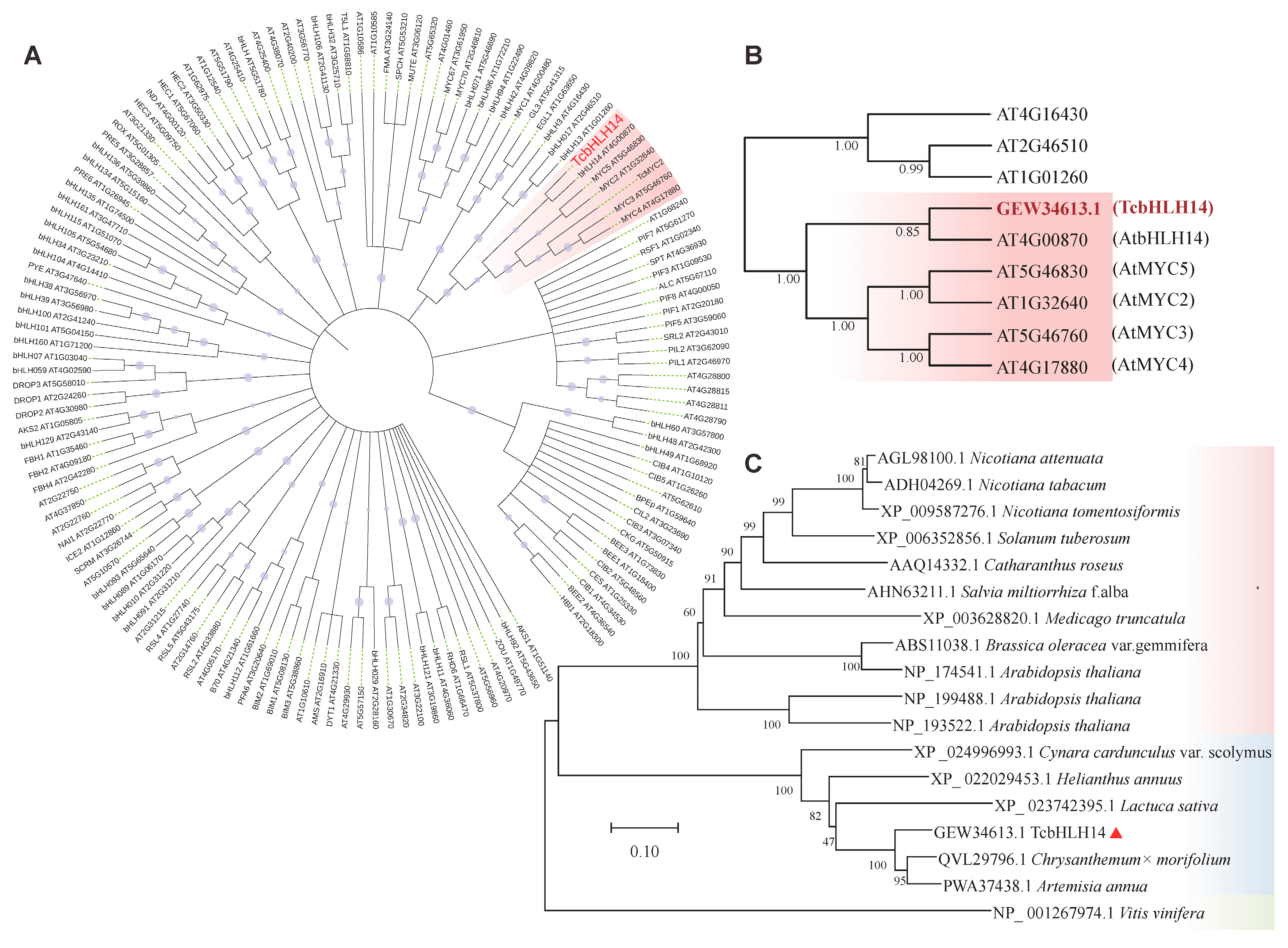 Ijms 24 07379 g001 Ijms 24 07379 g001