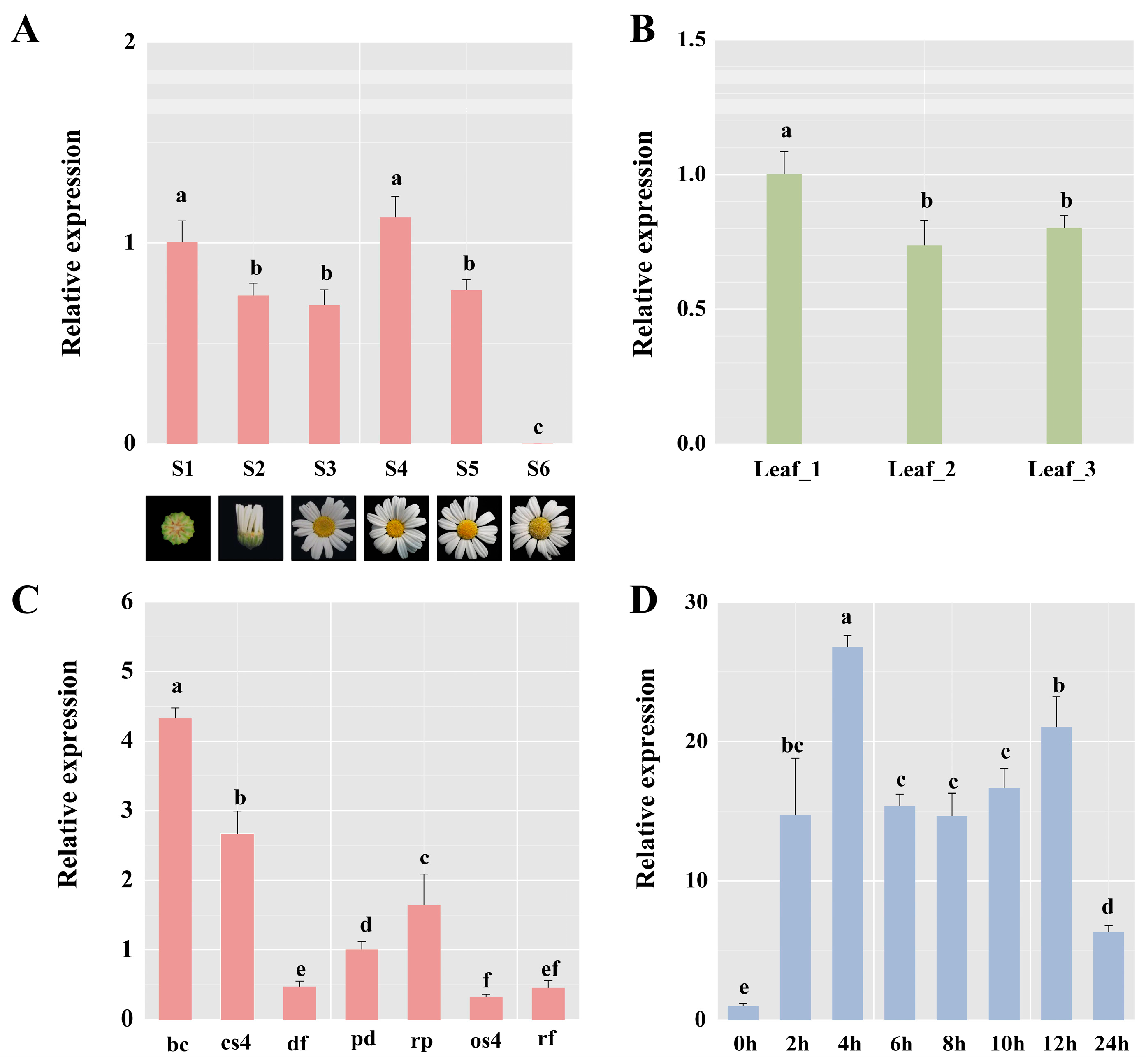 Ijms 24 07379 g002 Ijms 24 07379 g002