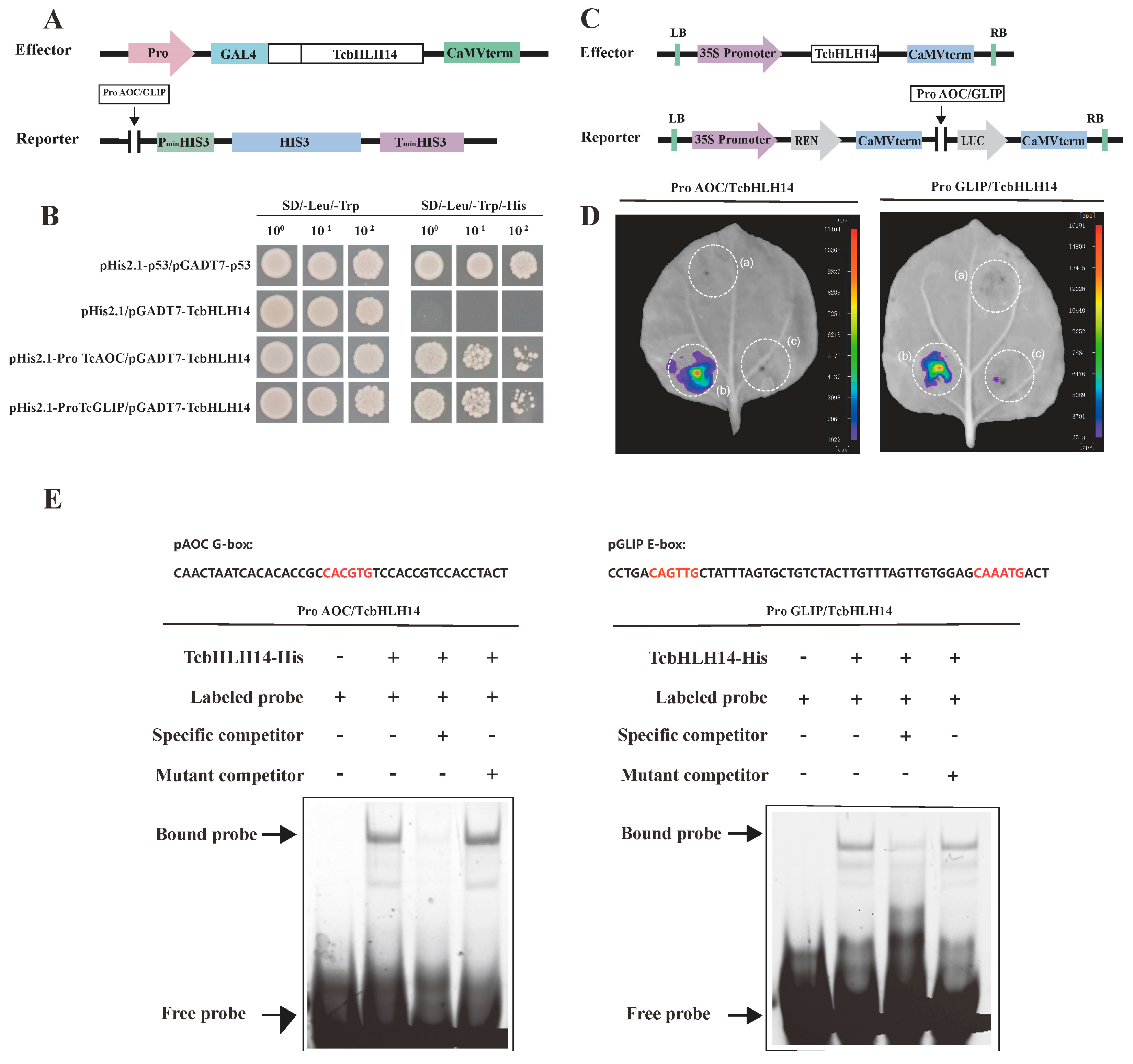 Ijms 24 07379 g004 Ijms 24 07379 g004