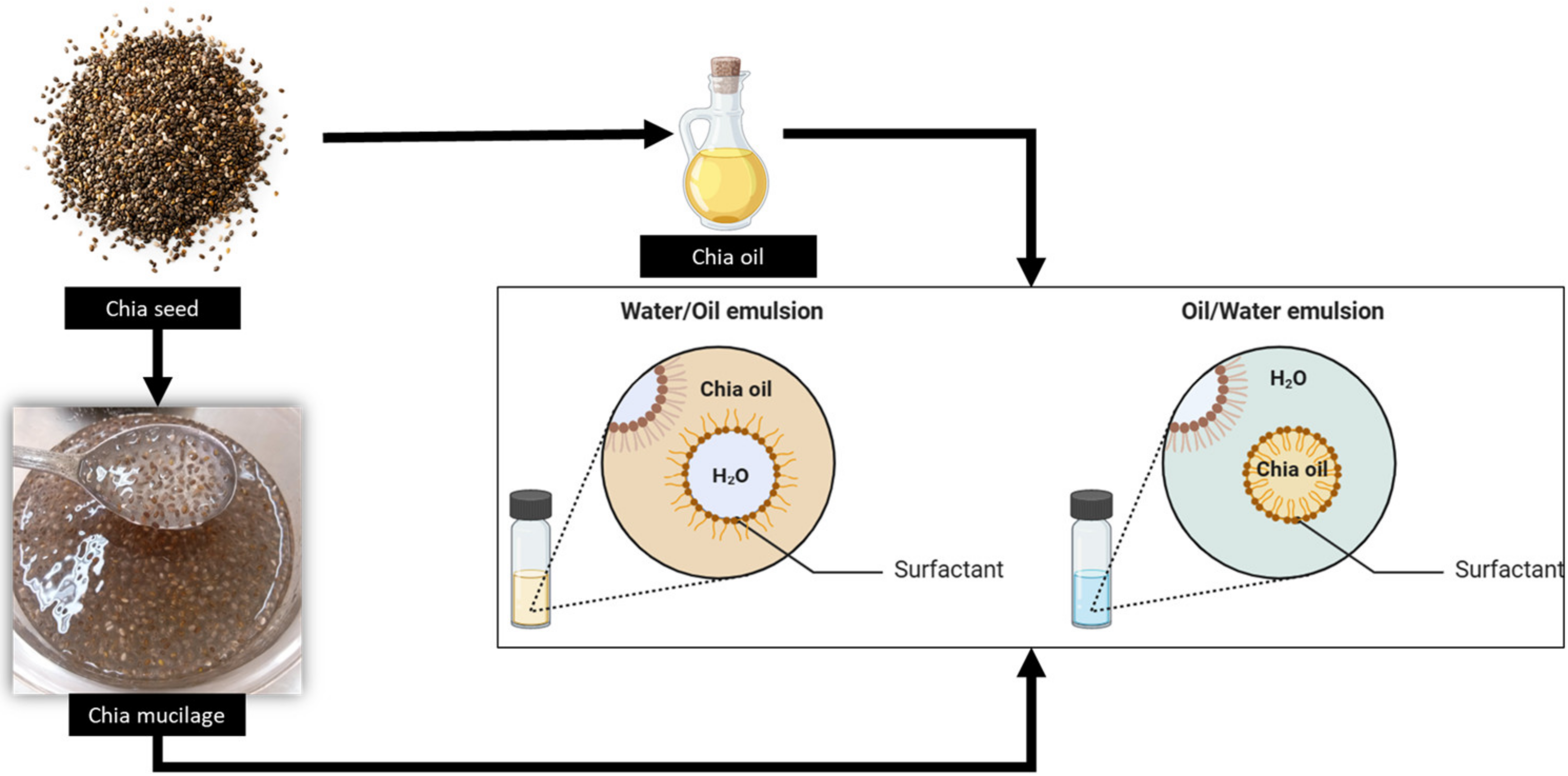 IJMS Free FullText Chia Oil and Mucilage Nanoemulsion Potential