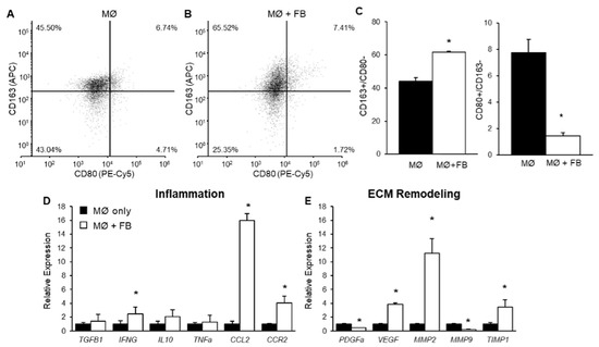 Simple gene signature to assess murine fibroblast polarization