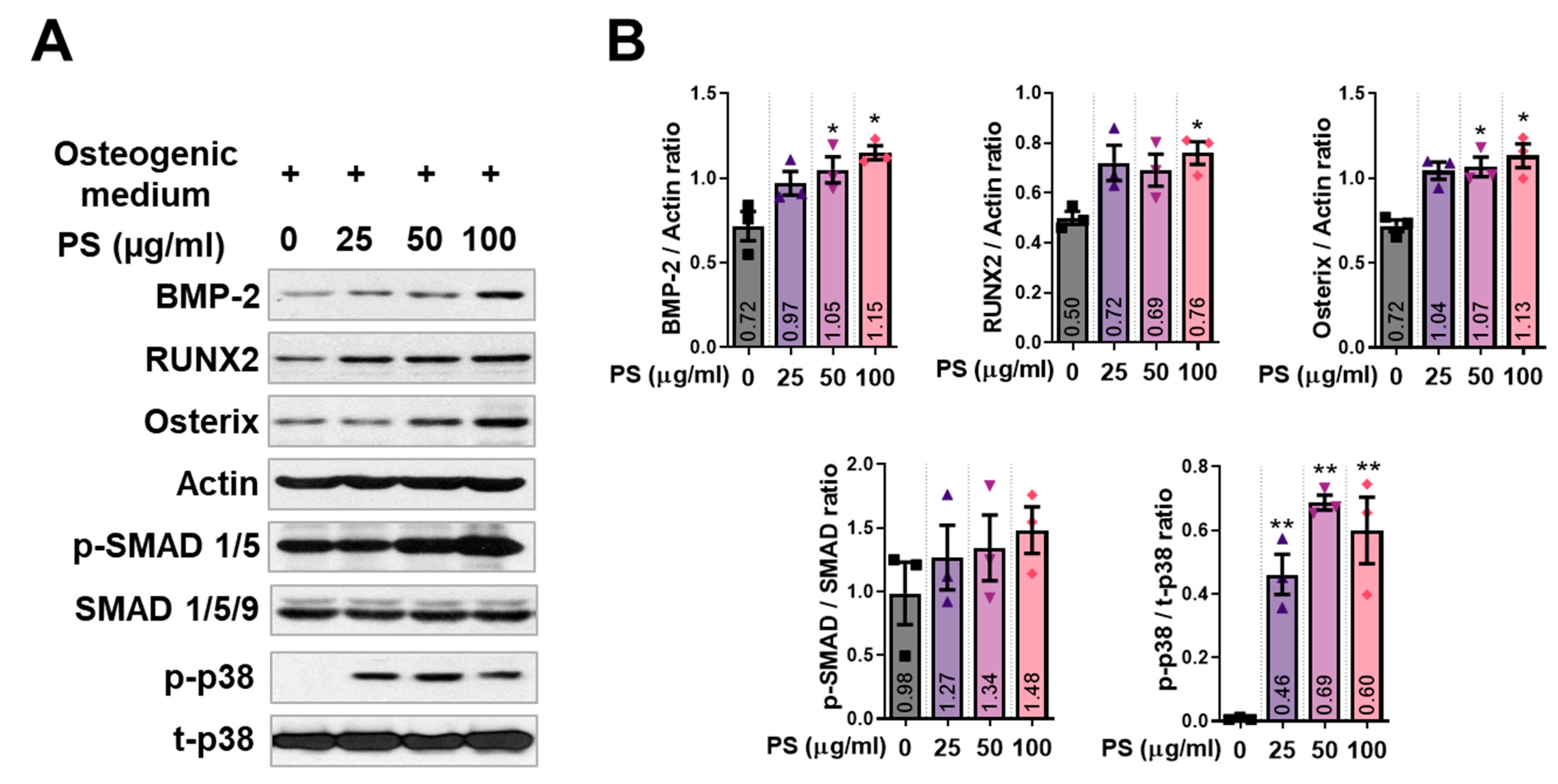 Ijms 24 07388 g002 Ijms 24 07388 g002