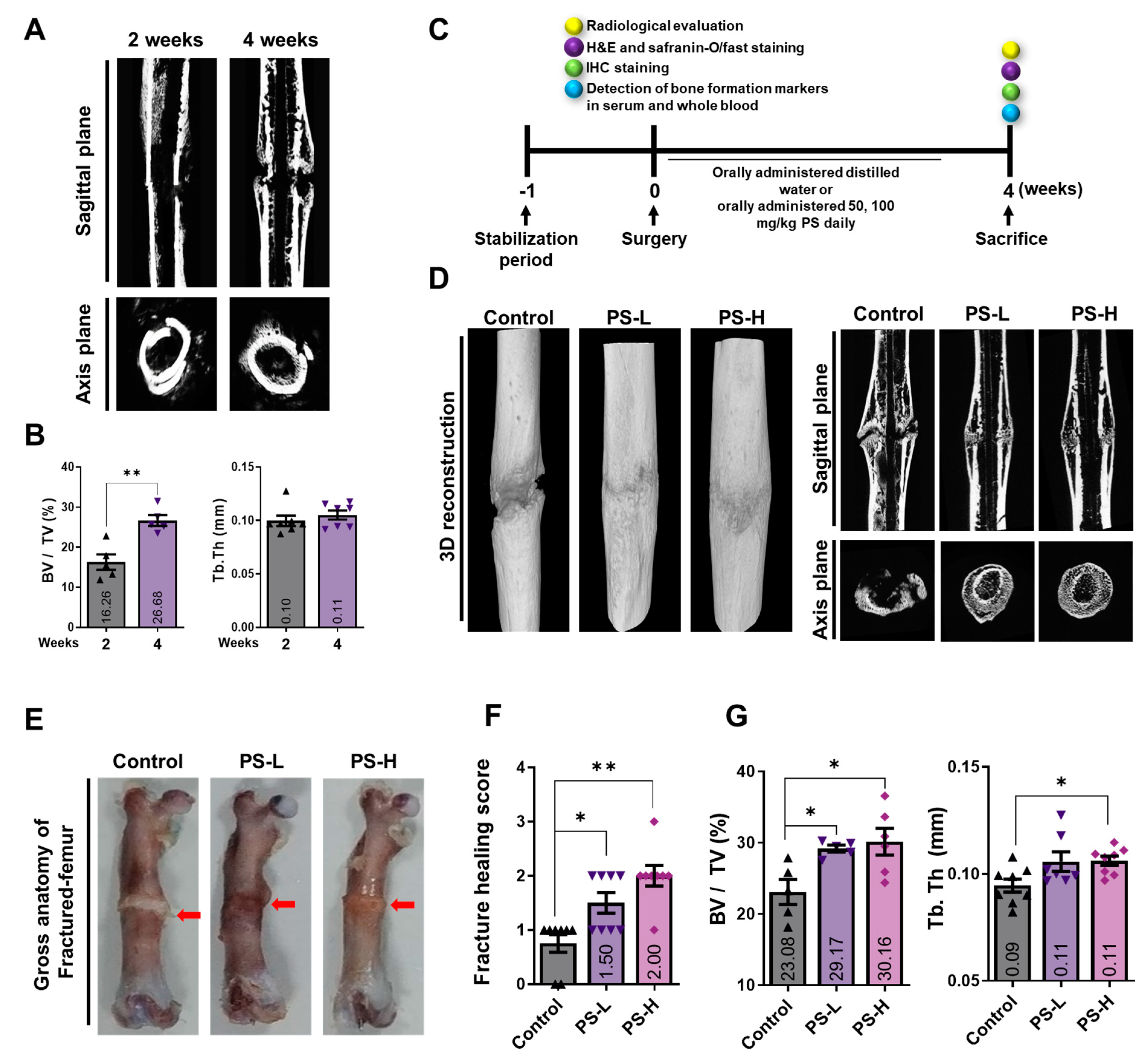 Ijms 24 07388 g004 Ijms 24 07388 g004