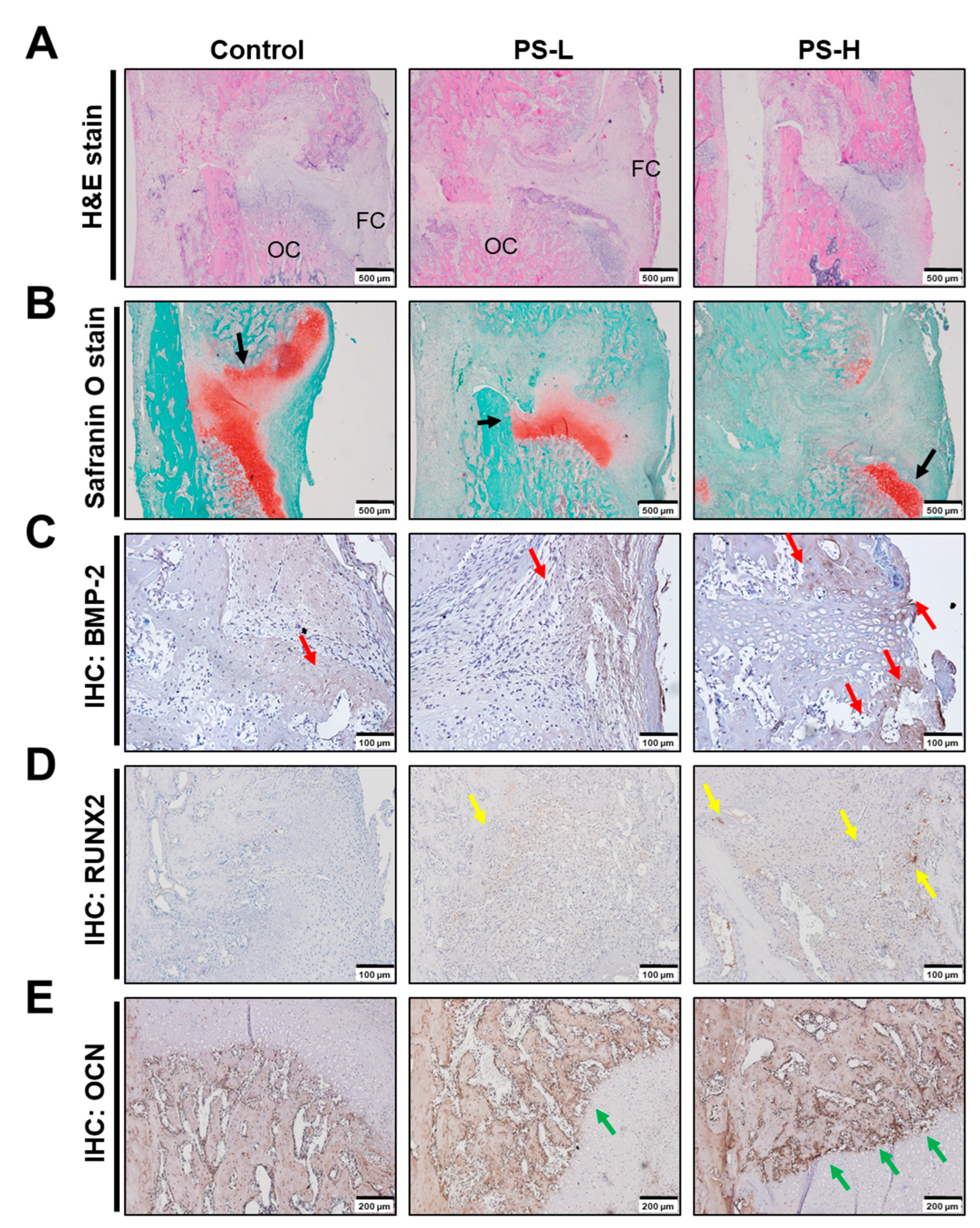 Ijms 24 07388 g005 Ijms 24 07388 g005