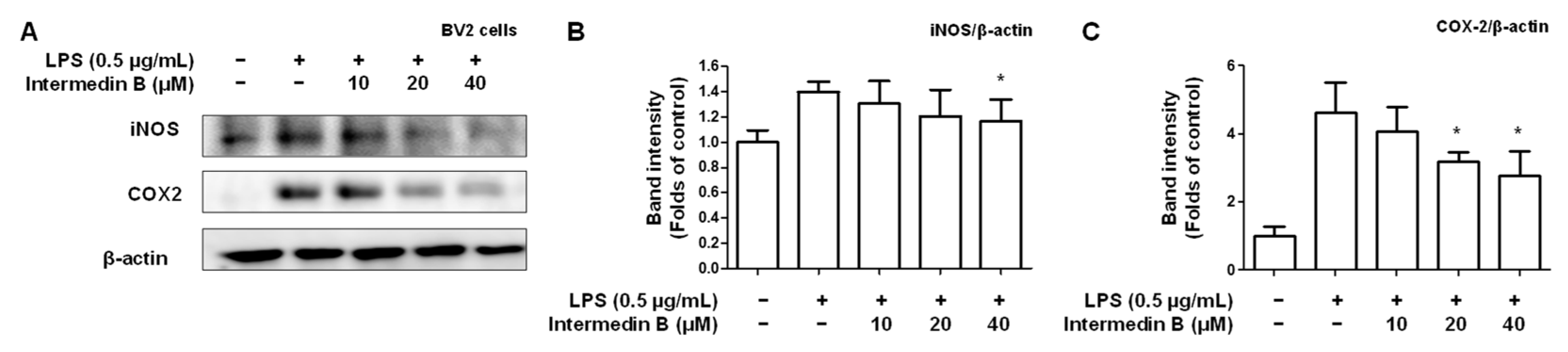 Ijms 24 07390 g007 Ijms 24 07390 g007