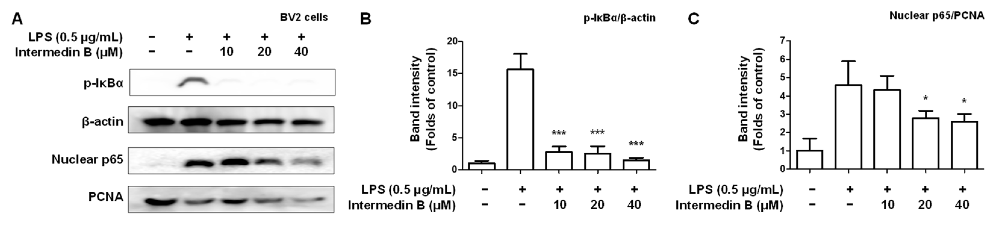 Ijms 24 07390 g008 Ijms 24 07390 g008