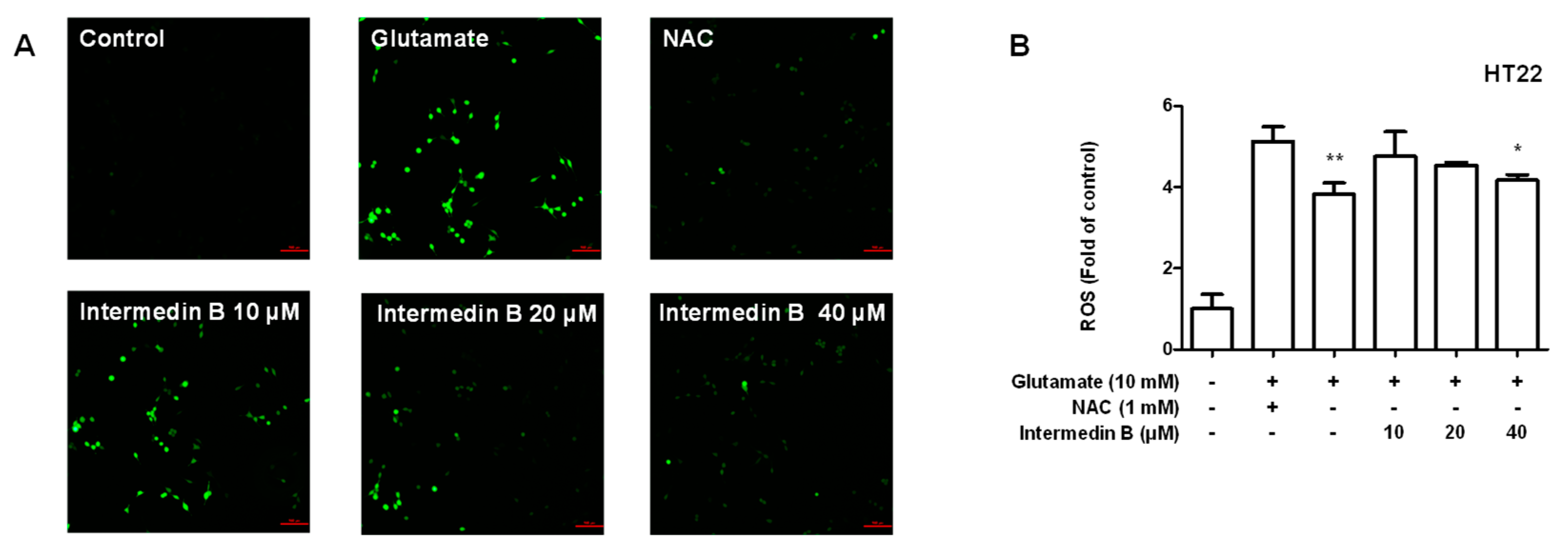 Ijms 24 07390 g009 Ijms 24 07390 g009