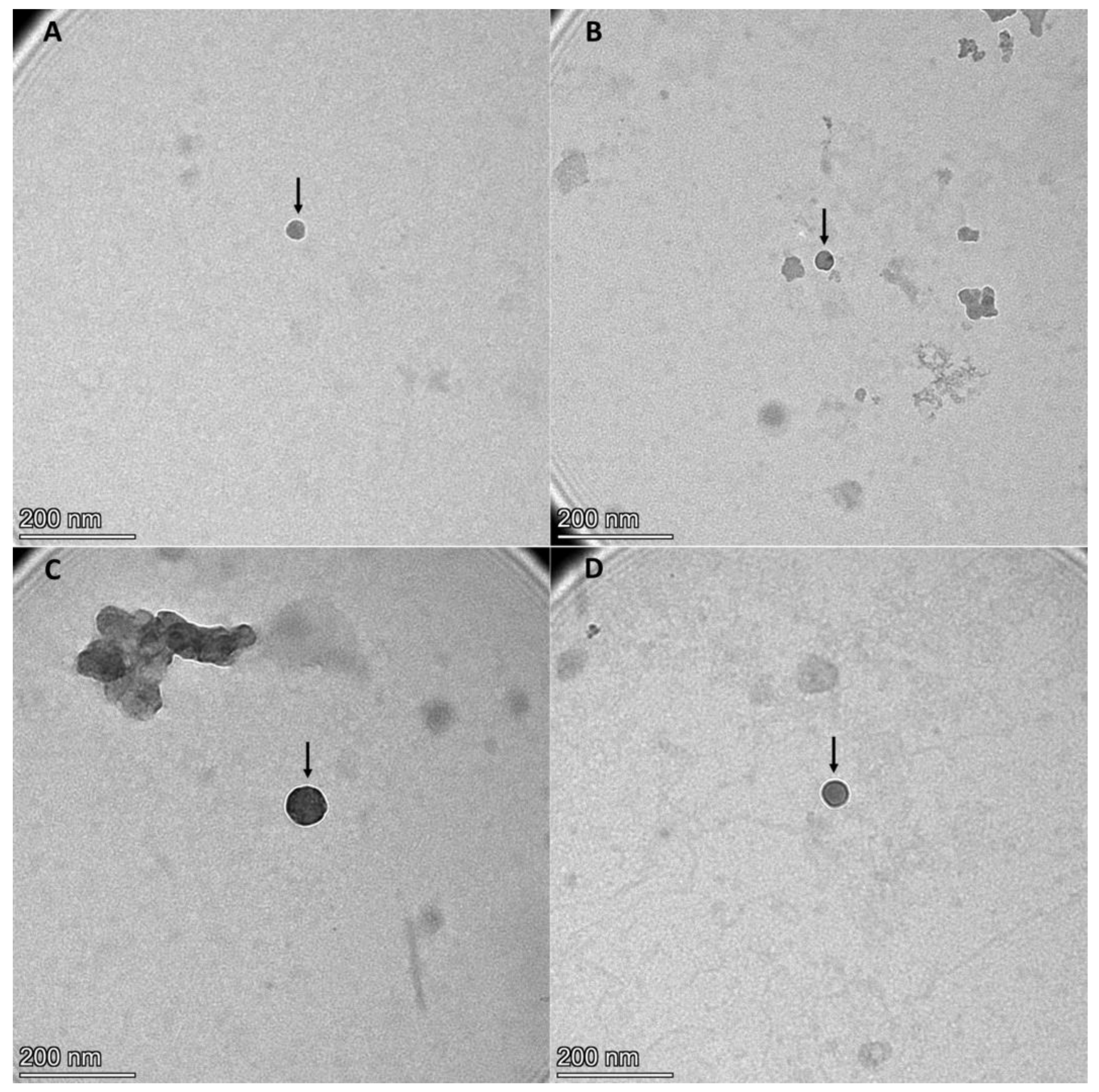 Ijms 24 07391 g002 Ijms 24 07391 g002