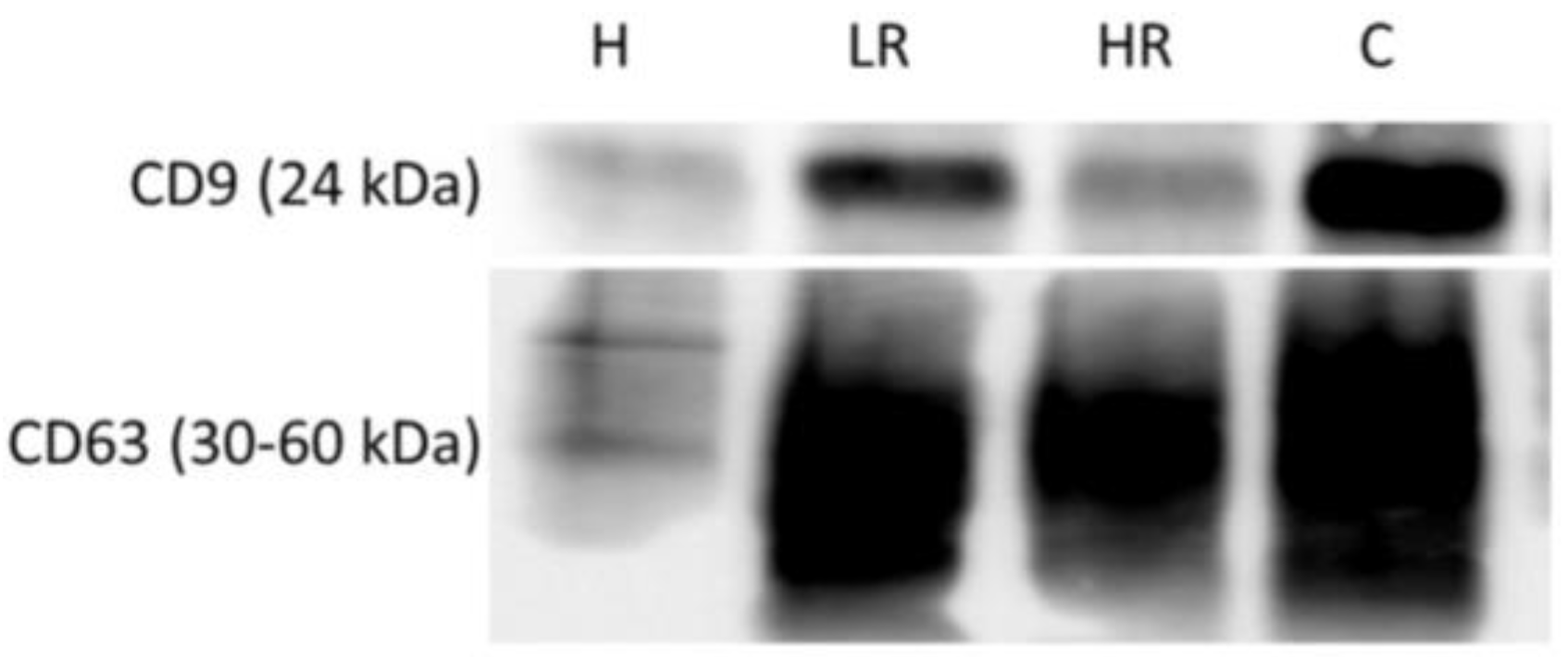 Ijms 24 07391 g003 Ijms 24 07391 g003