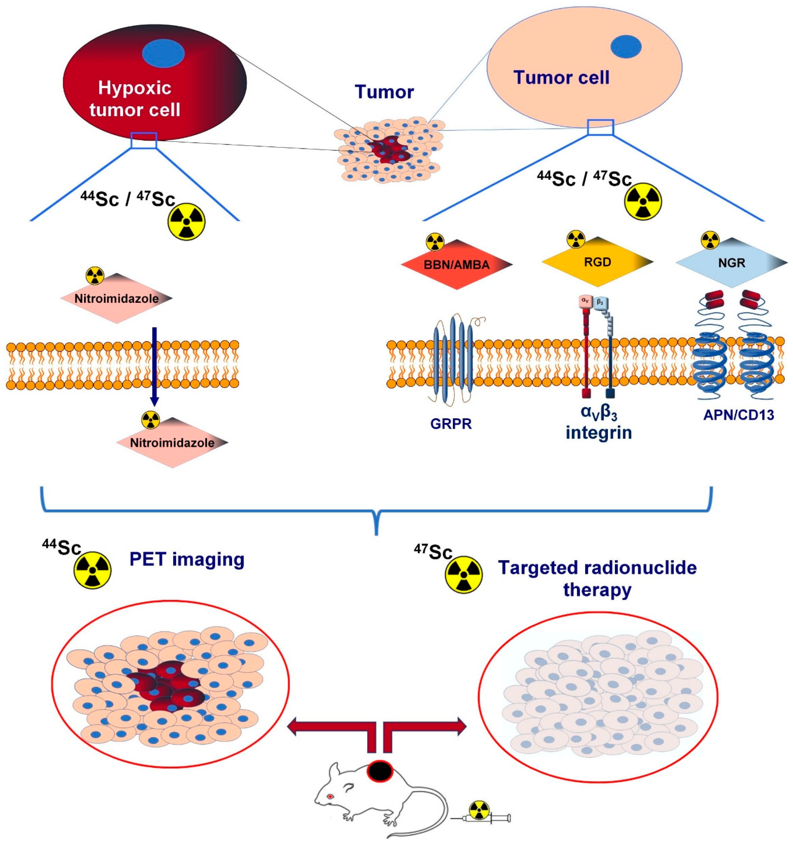Ijms 24 07400 g001 Ijms 24 07400 g001
