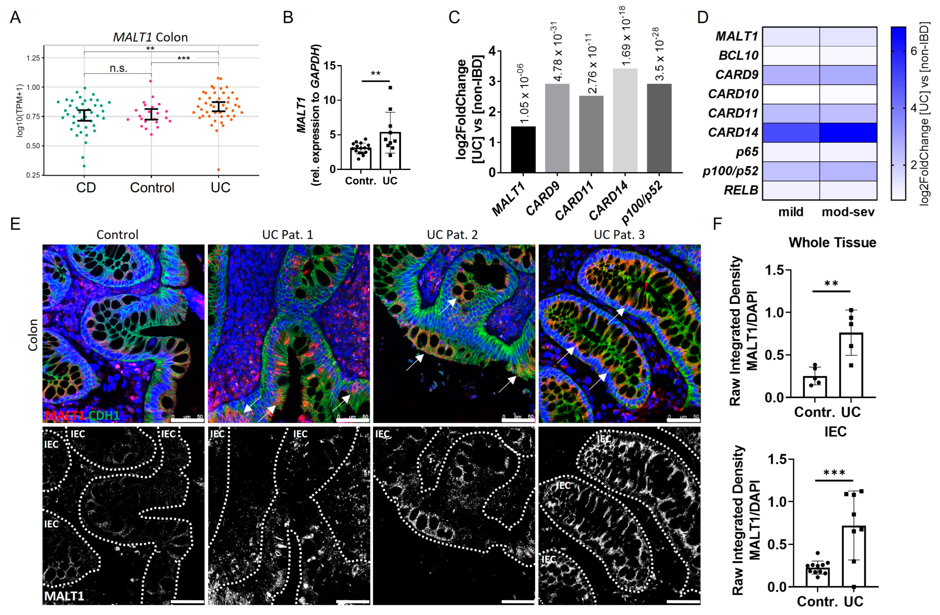 Ijms 24 07402 g001 Ijms 24 07402 g001