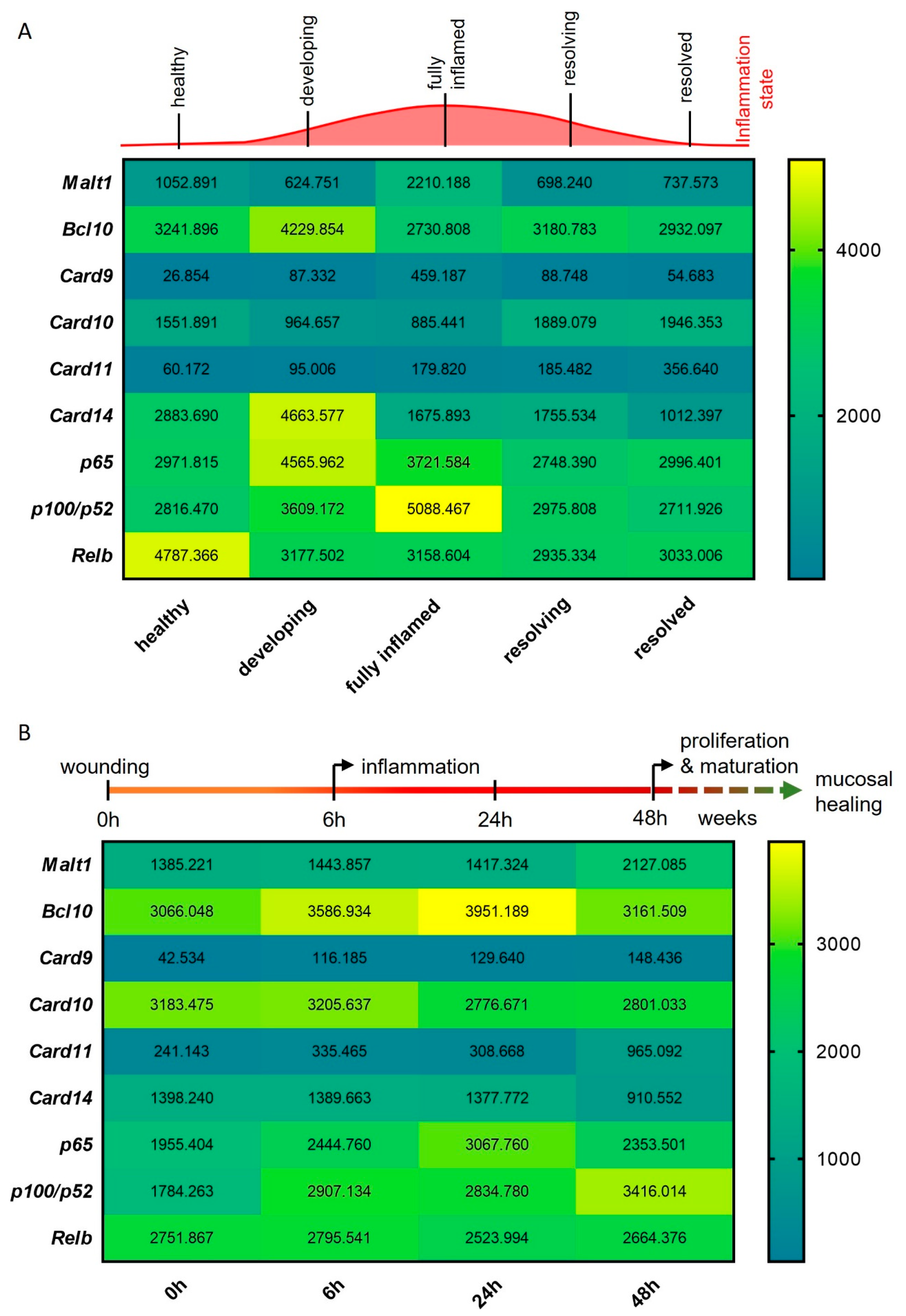Ijms 24 07402 g002 Ijms 24 07402 g002