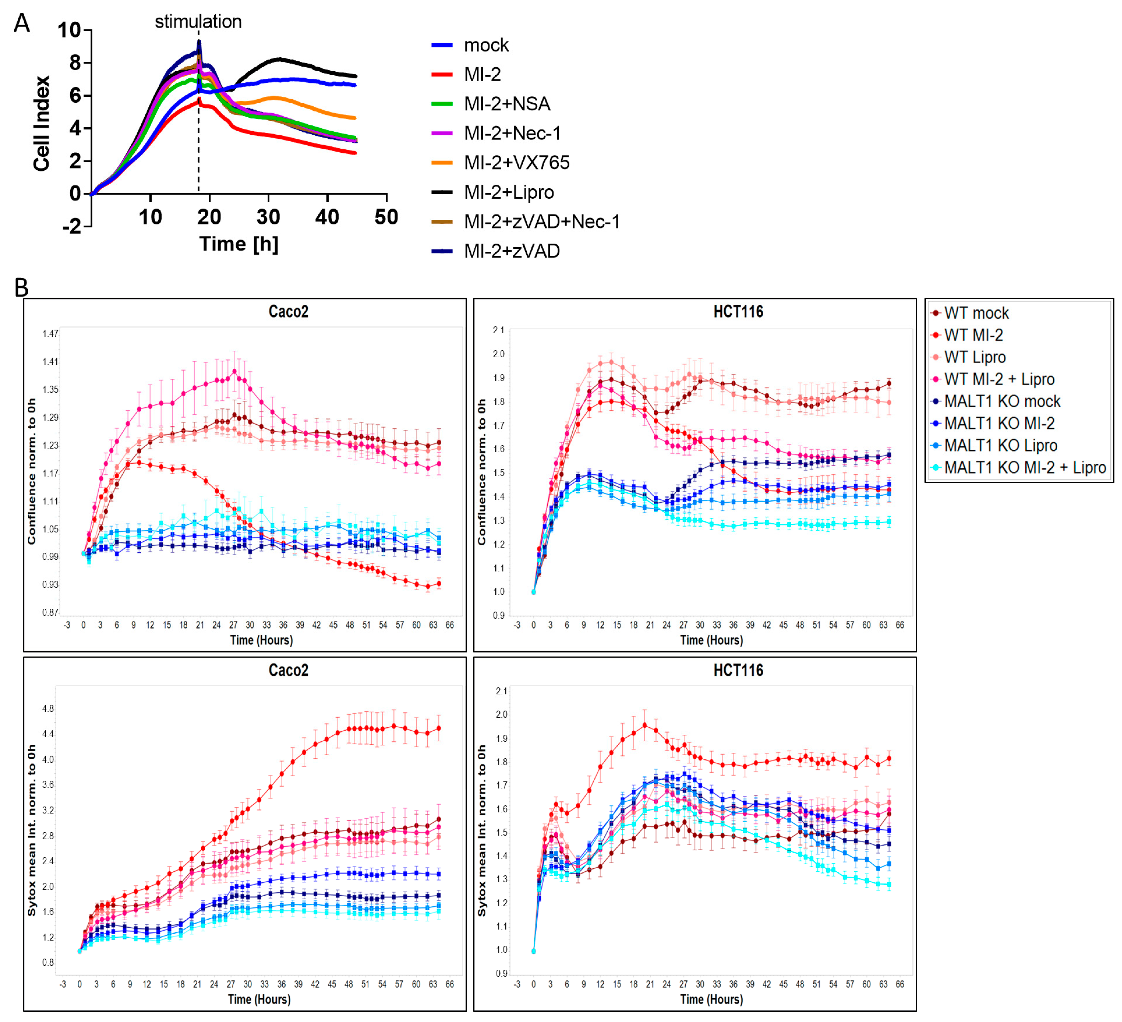 Ijms 24 07402 g004 Ijms 24 07402 g004