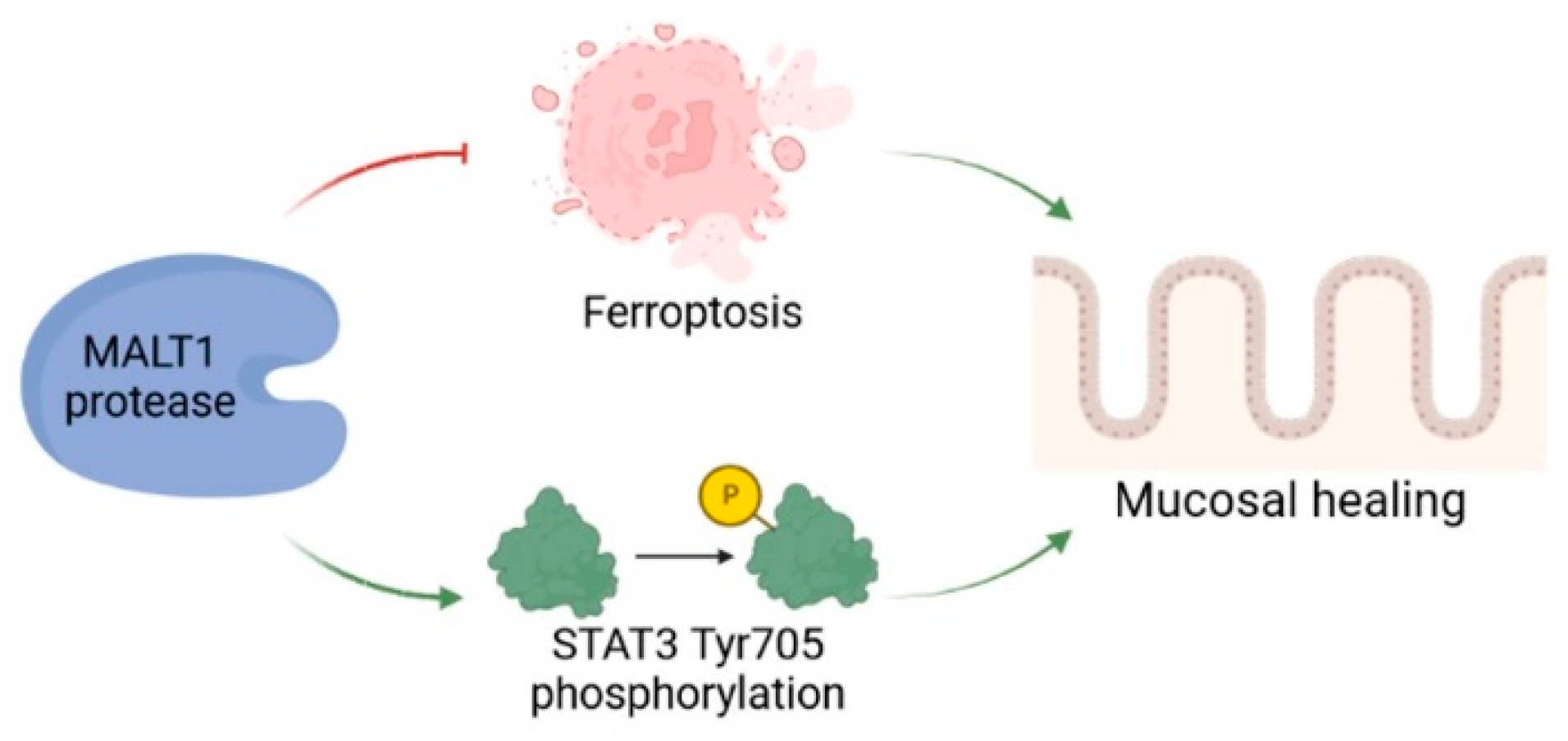 Ijms 24 07402 g008 Ijms 24 07402 g008