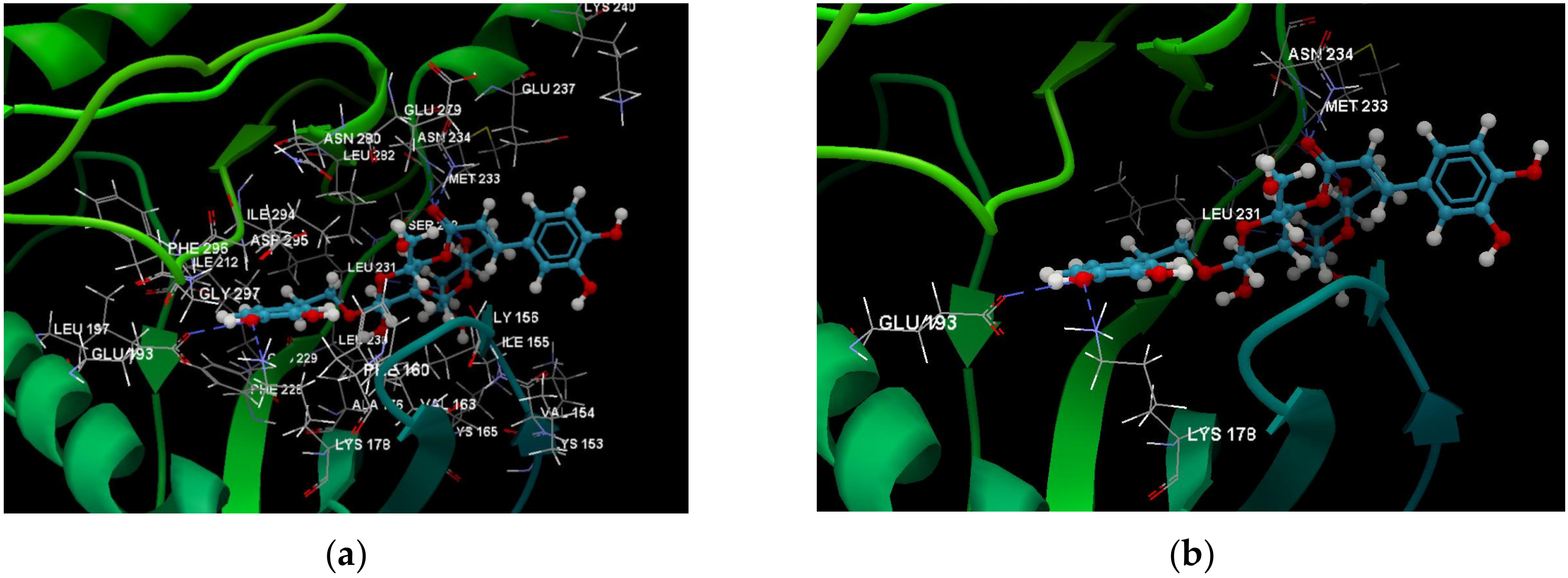 Ijms 24 07404 g001 Ijms 24 07404 g001