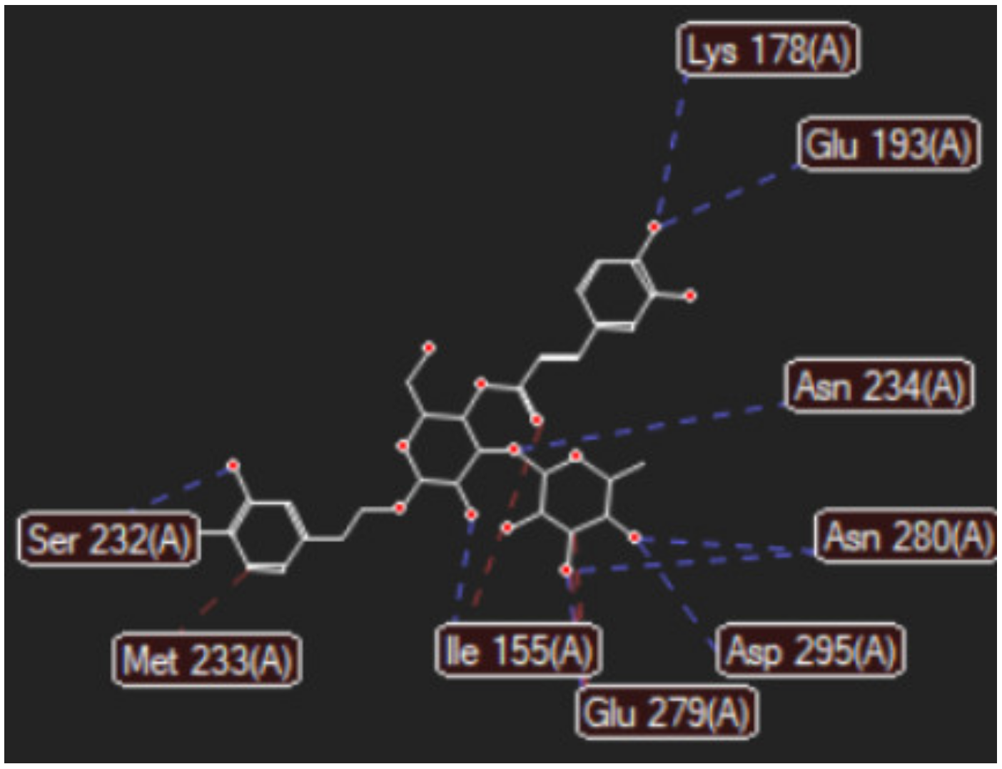 Ijms 24 07404 g003 Ijms 24 07404 g003