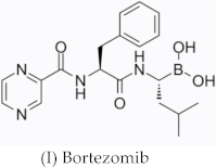 Ijms 24 07404 i022 Ijms 24 07404 i022