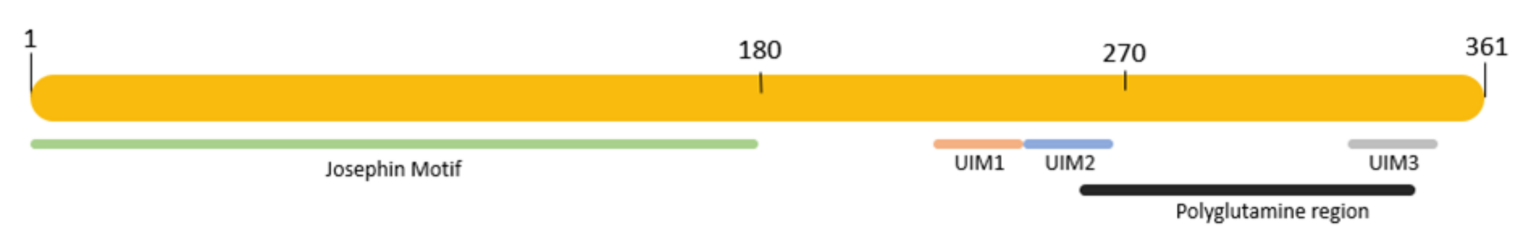 Ijms 24 07405 g001 Ijms 24 07405 g001