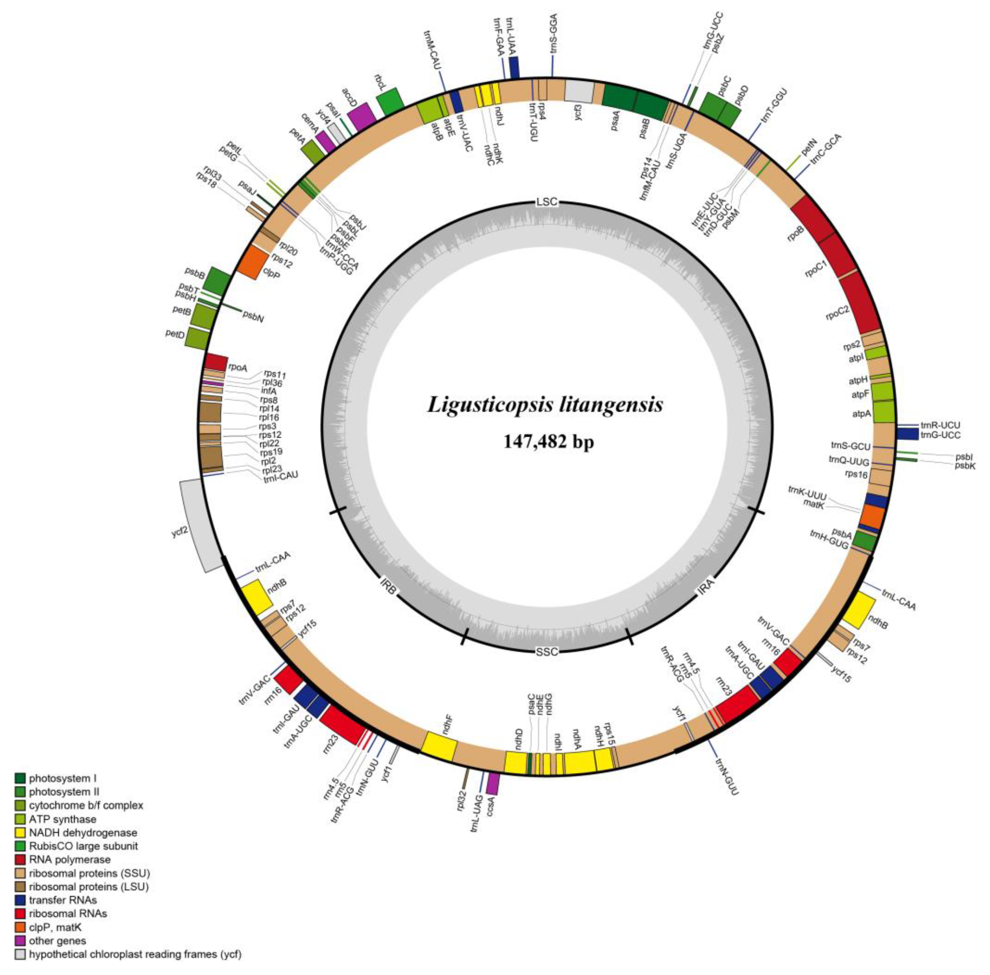 Ijms 24 07419 g003 Ijms 24 07419 g003