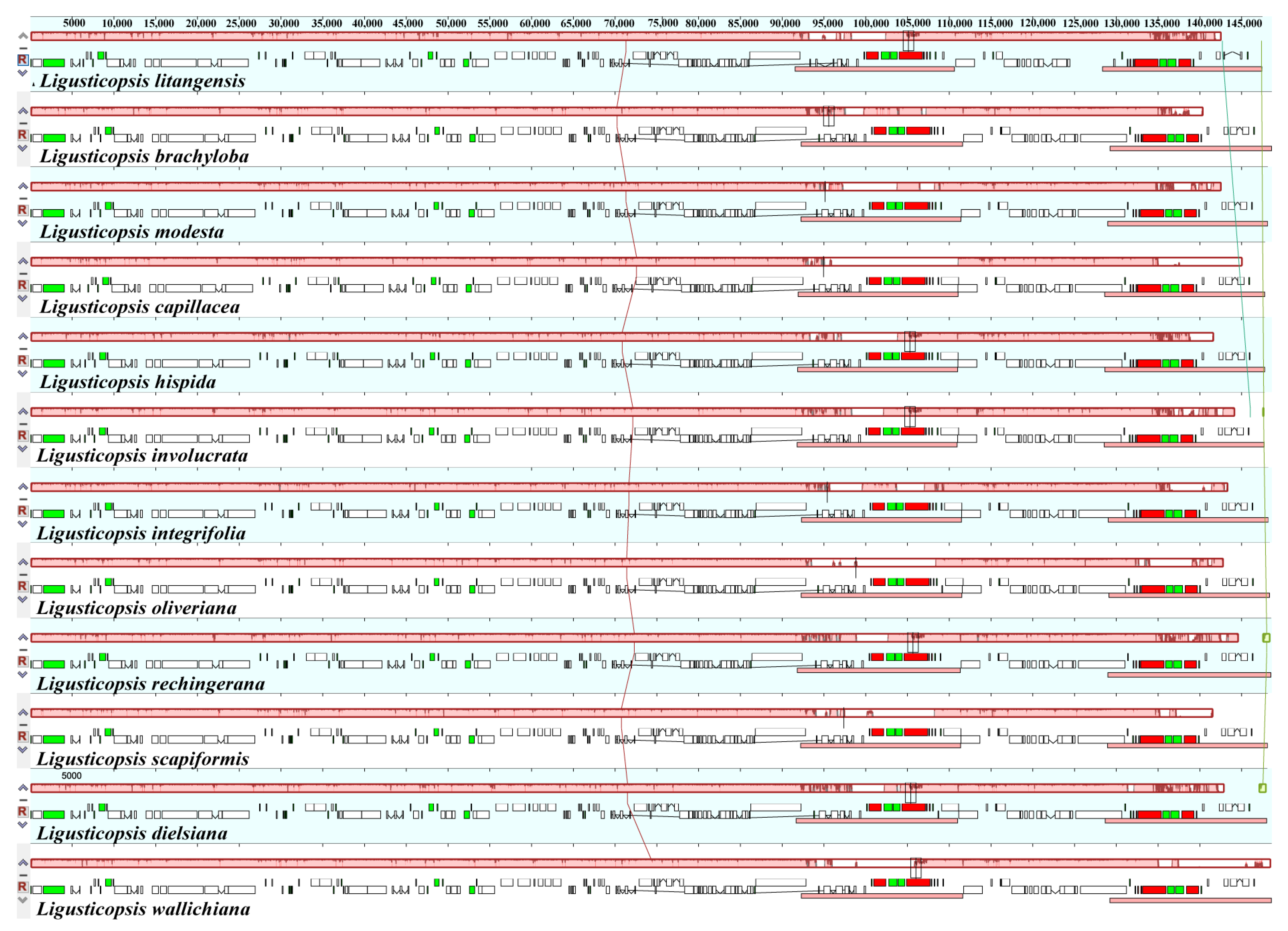 Ijms 24 07419 g005 Ijms 24 07419 g005