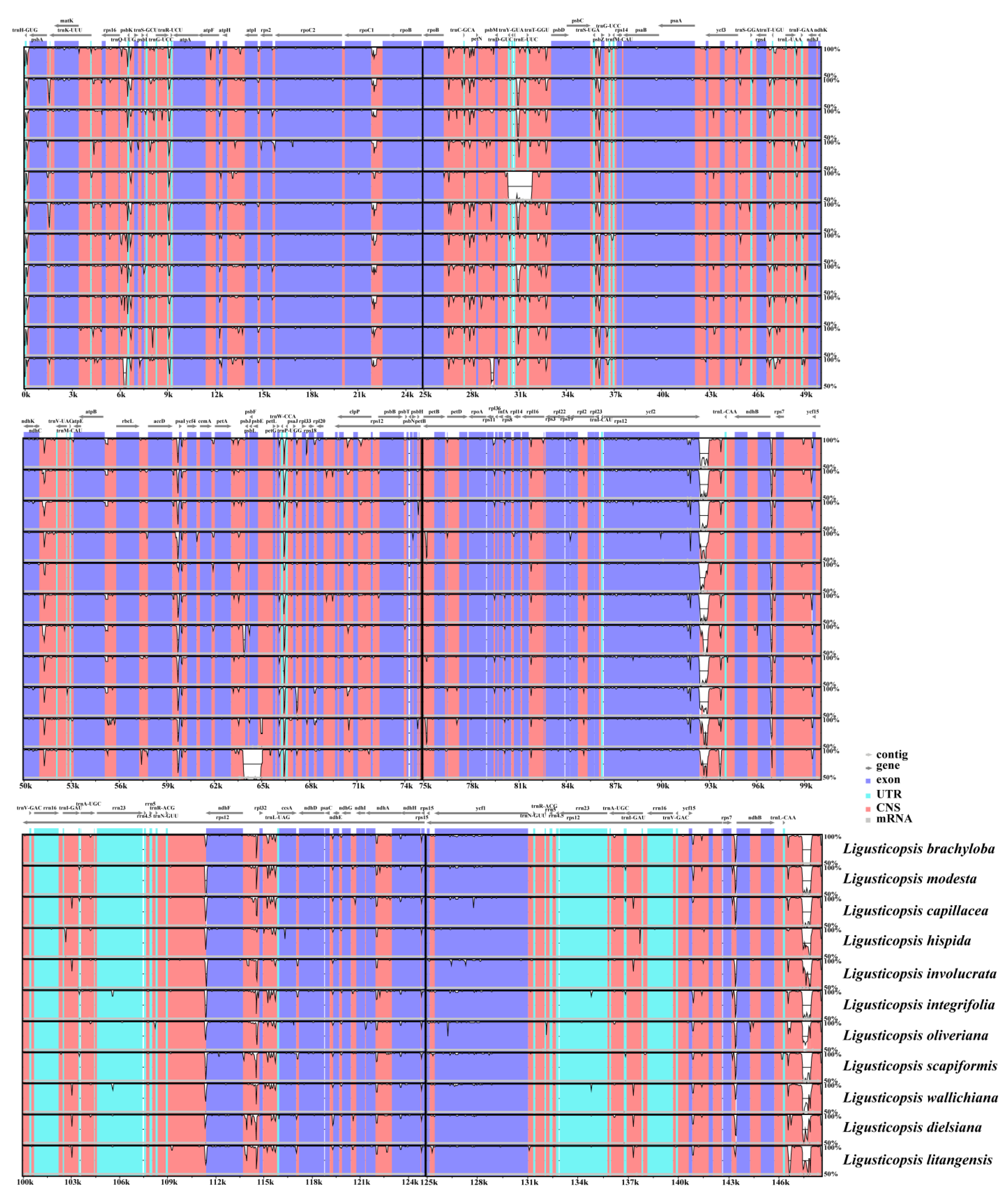 Ijms 24 07419 g006 Ijms 24 07419 g006