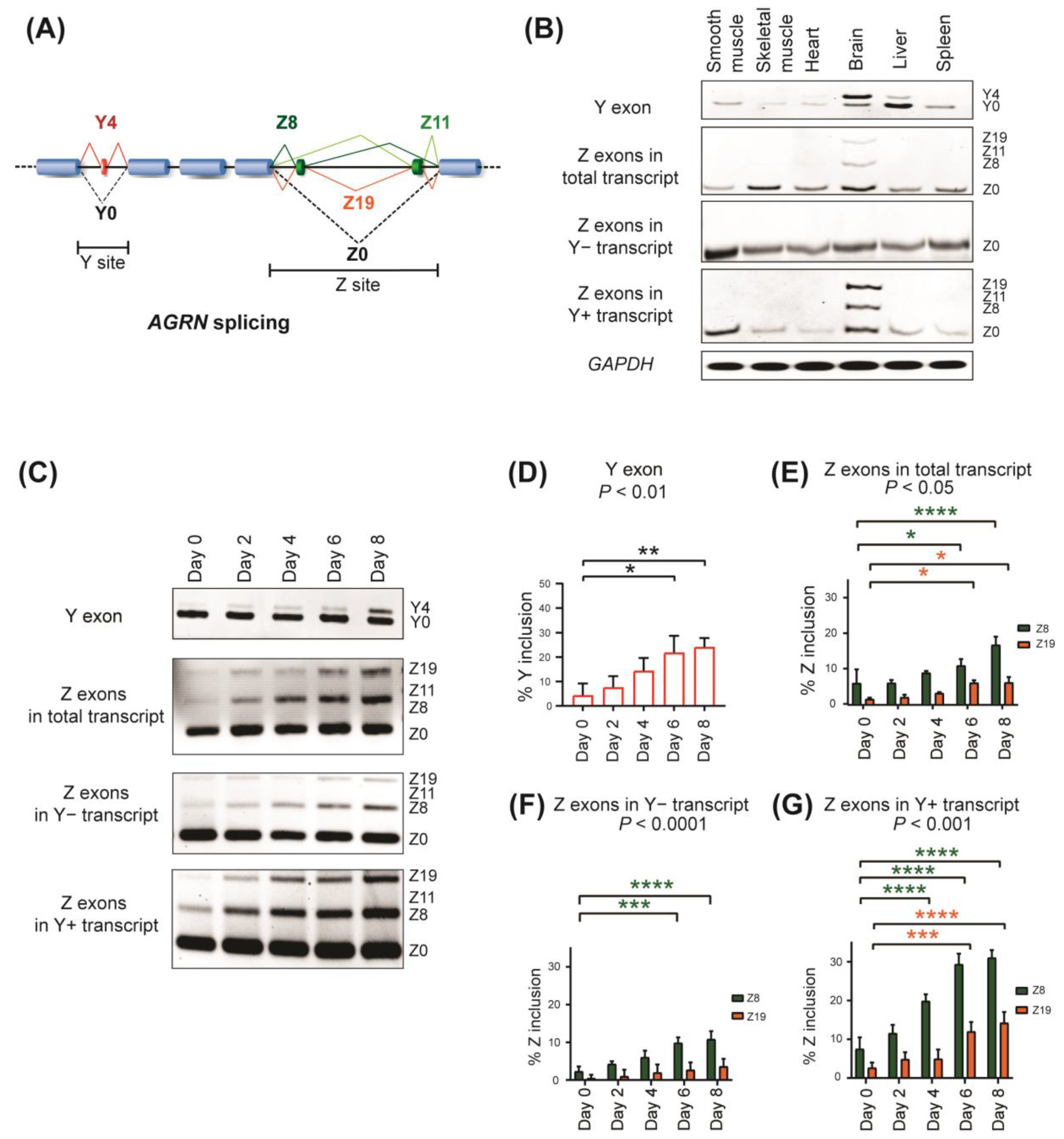 Ijms 24 07420 g001 Ijms 24 07420 g001