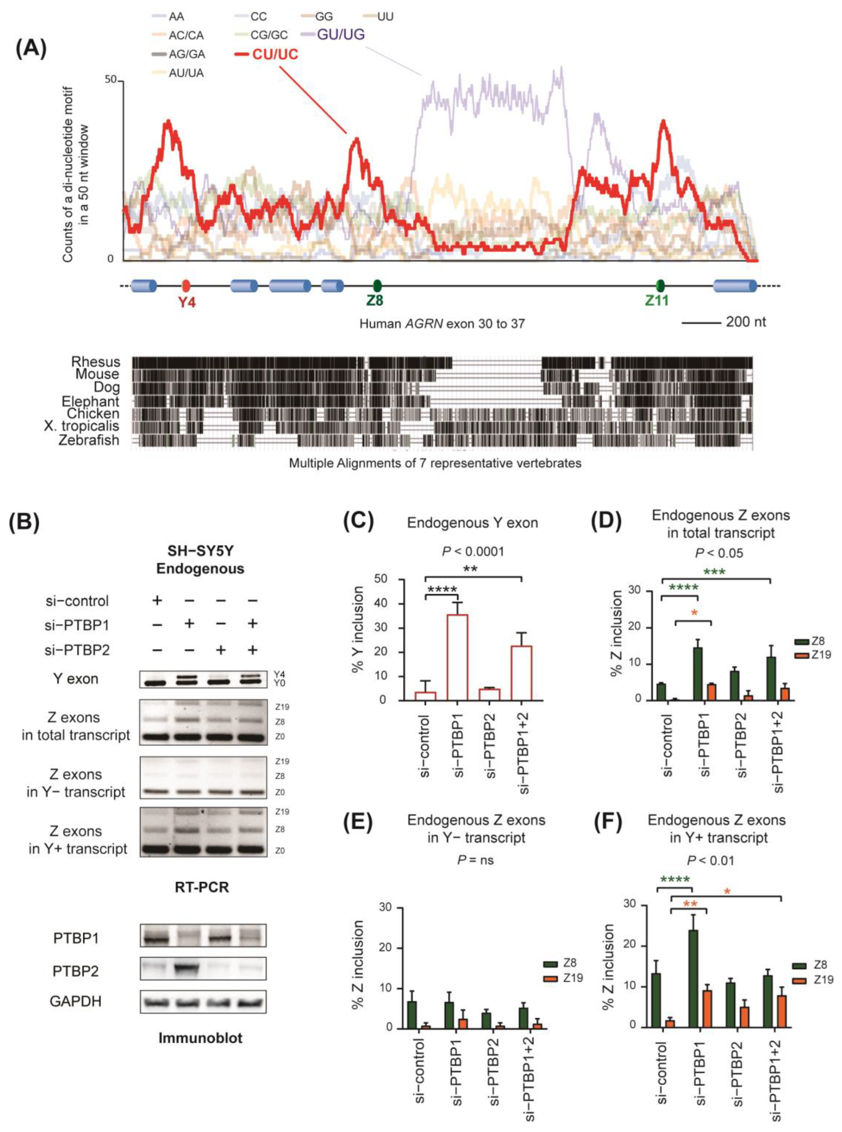 Ijms 24 07420 g002 Ijms 24 07420 g002