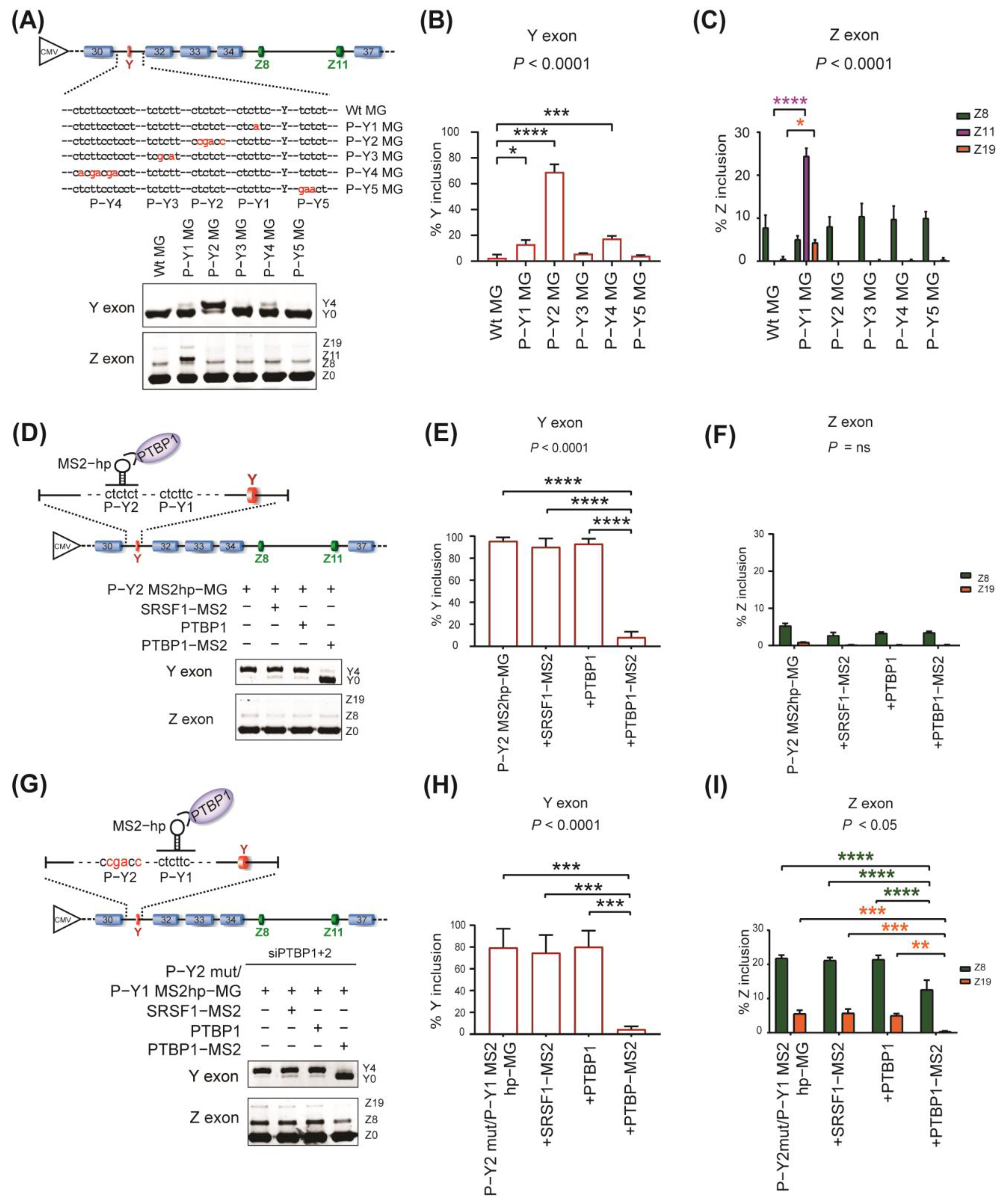 Ijms 24 07420 g003 Ijms 24 07420 g003