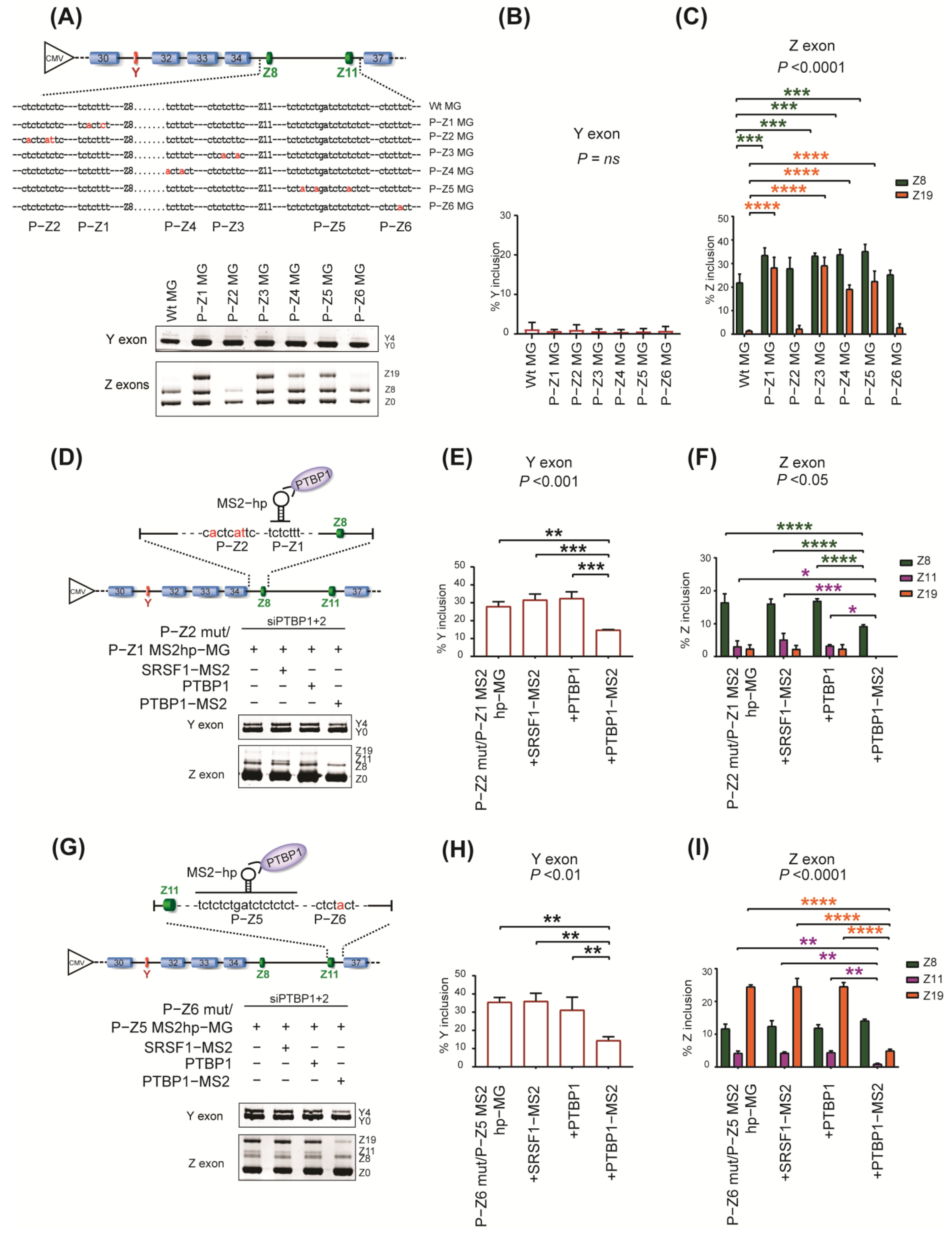 Ijms 24 07420 g004 Ijms 24 07420 g004