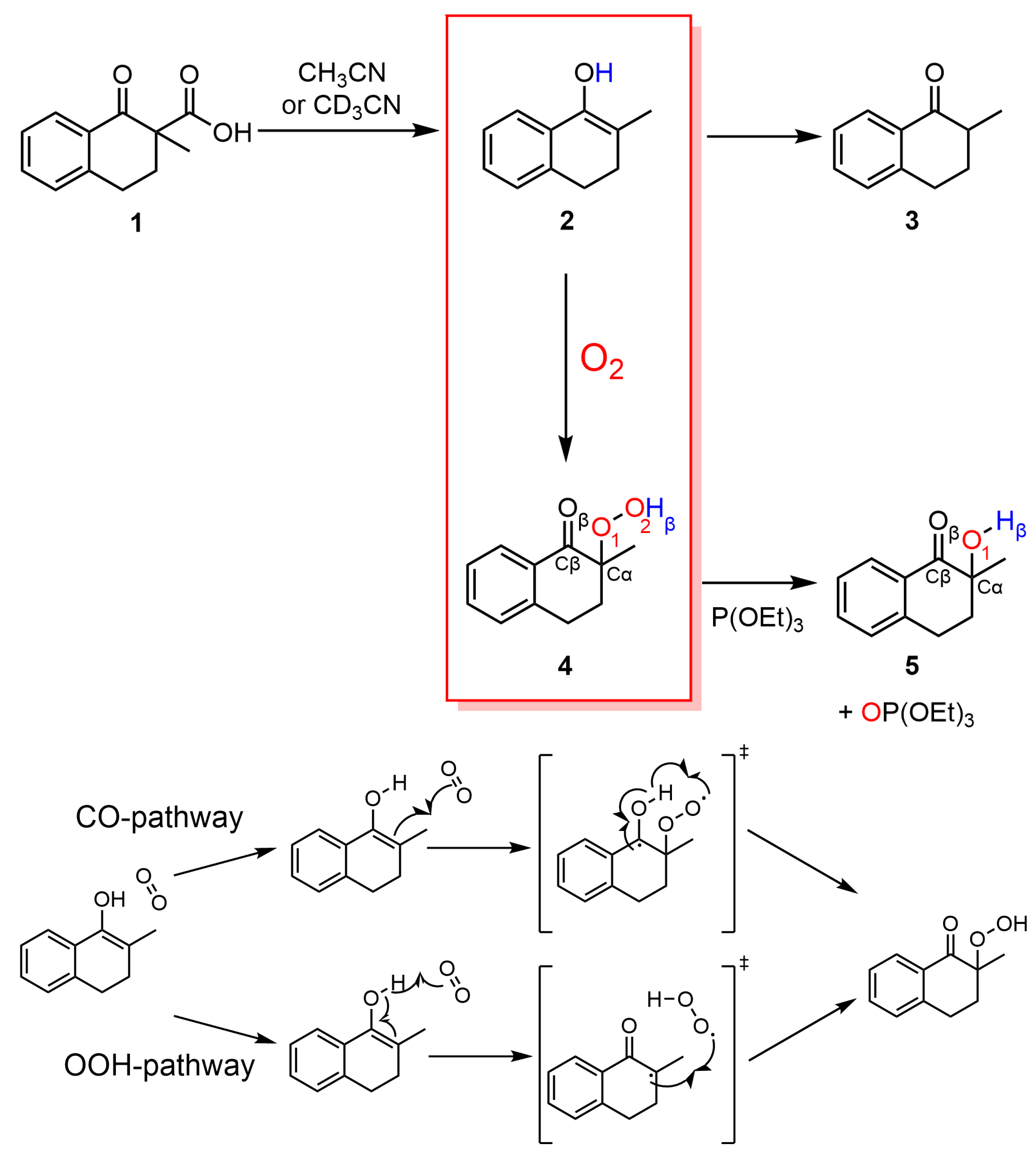 Ijms 24 07424 g001 Ijms 24 07424 g001