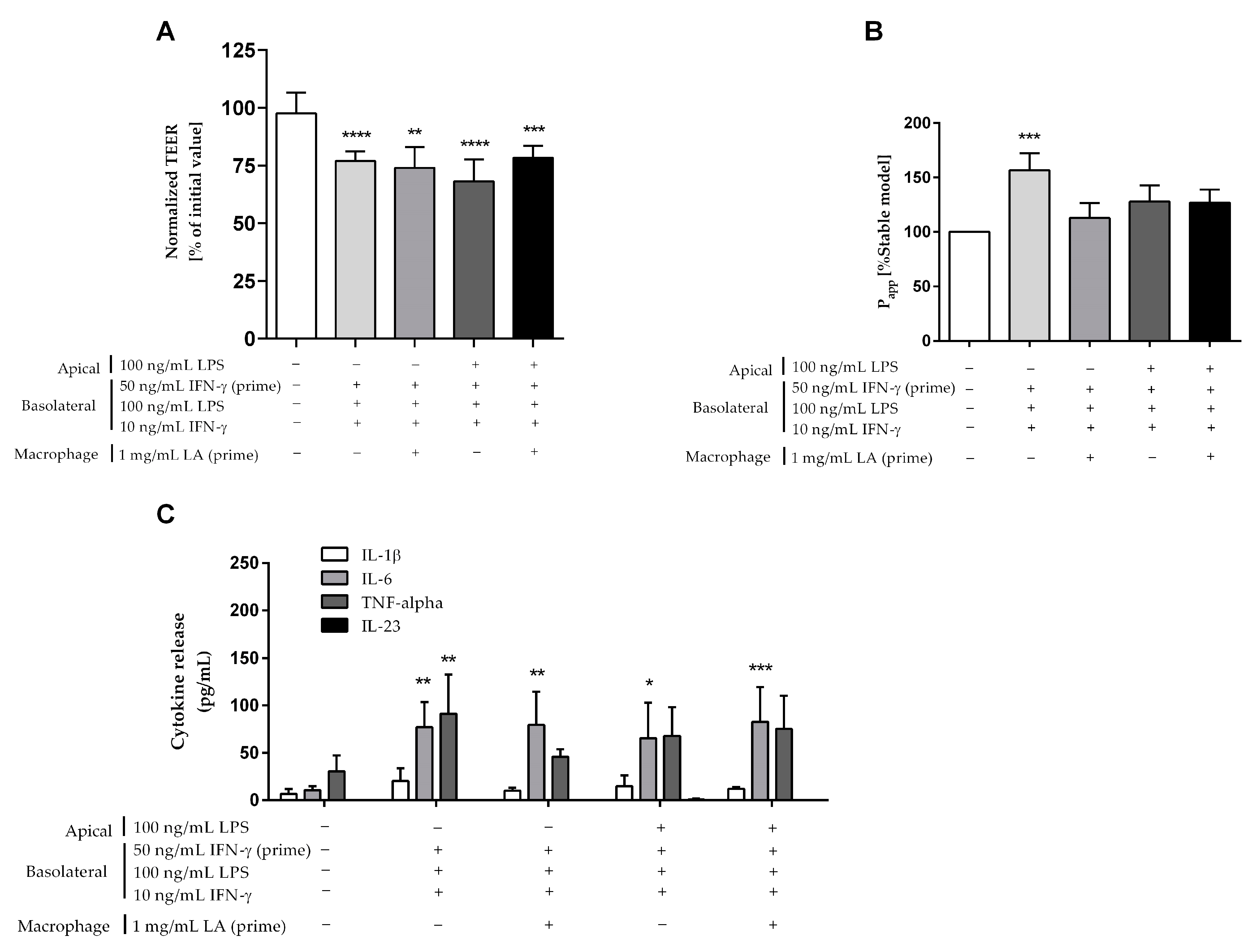 Ijms 24 07427 g006 Ijms 24 07427 g006